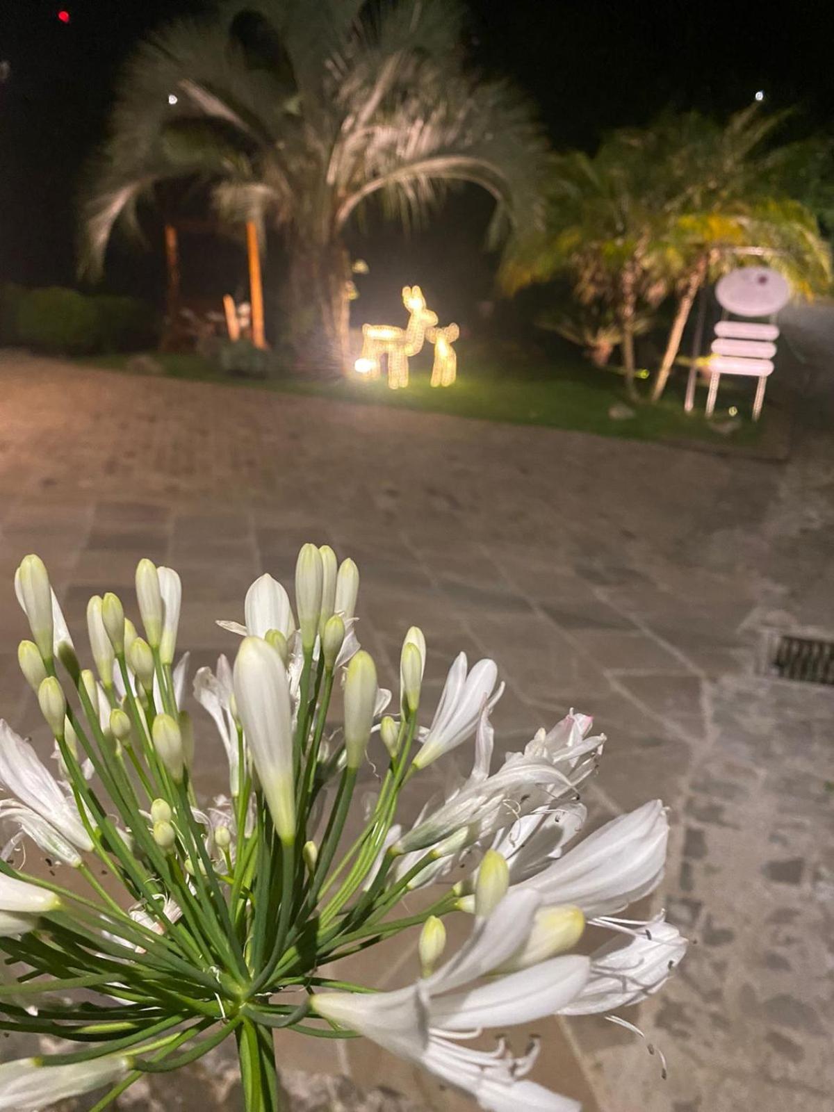 Locanda Montecielo Pousada Boutique - Vale dos Vinhedos