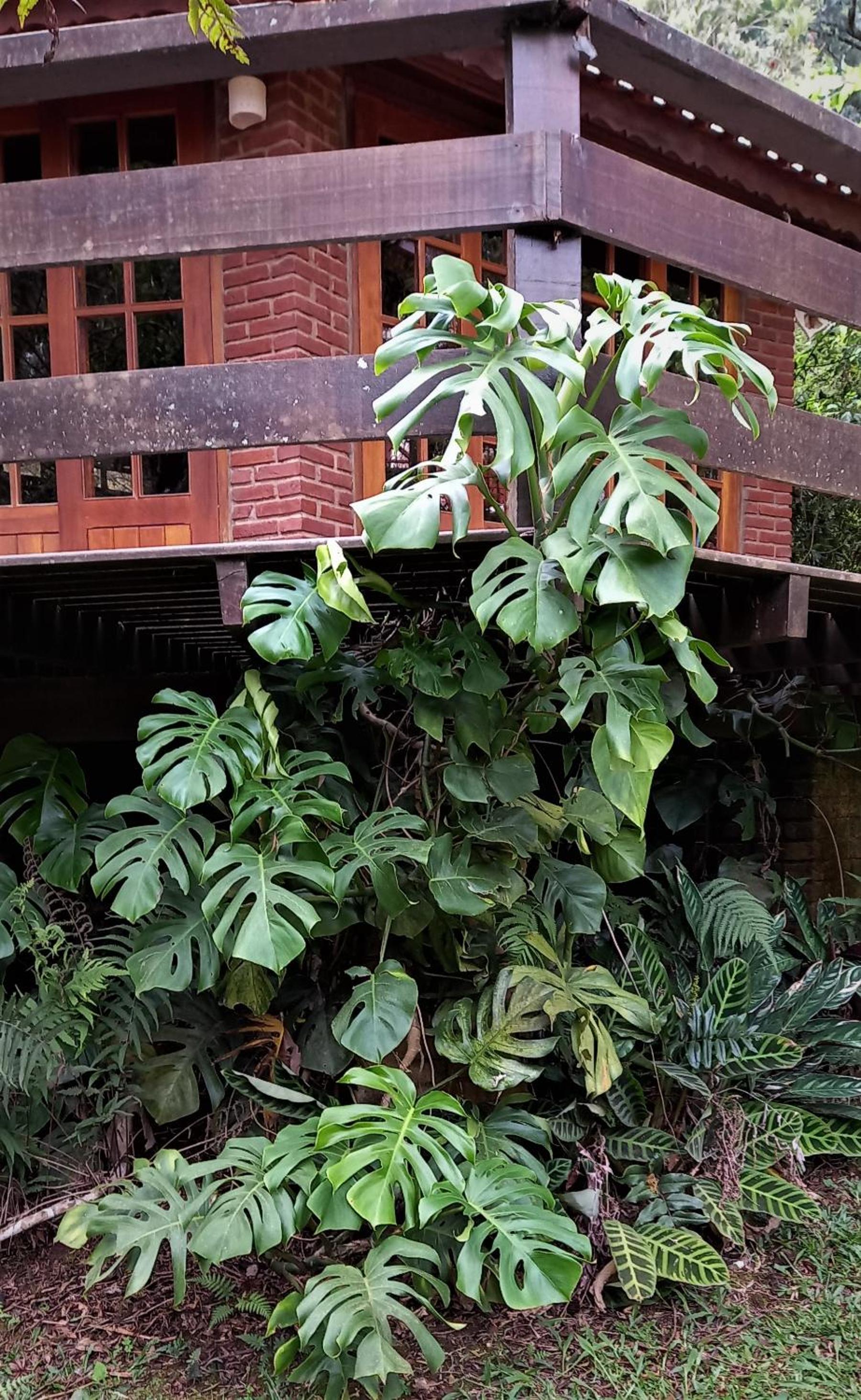 CASA EM MONTE VERDE CHARME E CONFORTO