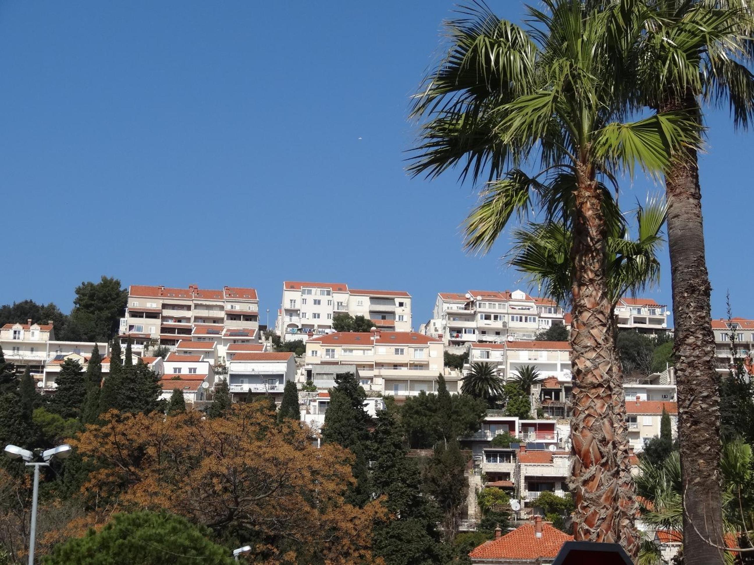 Apartments Roko