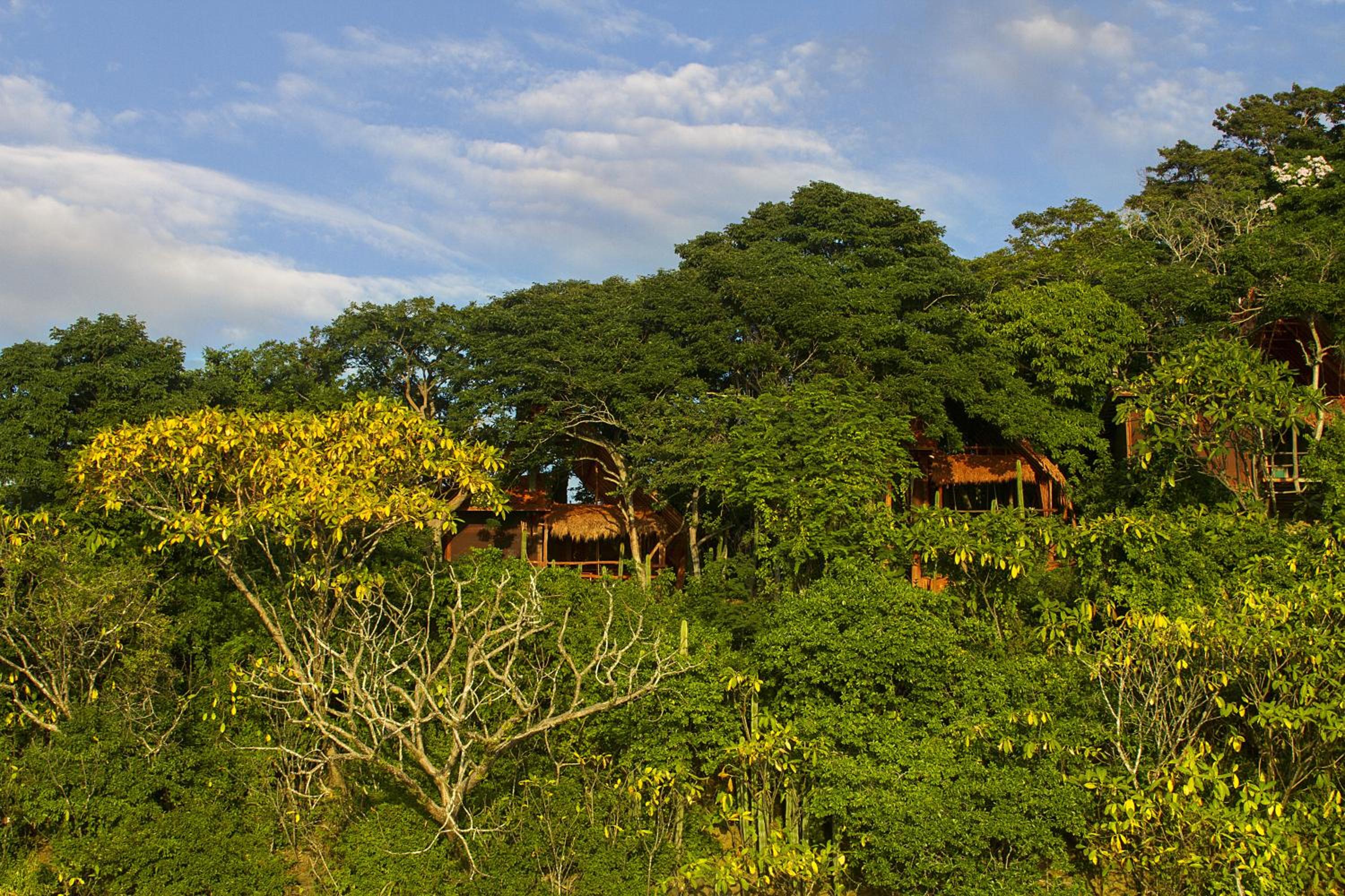 Morgan's Rock Reserve & Ecolodge