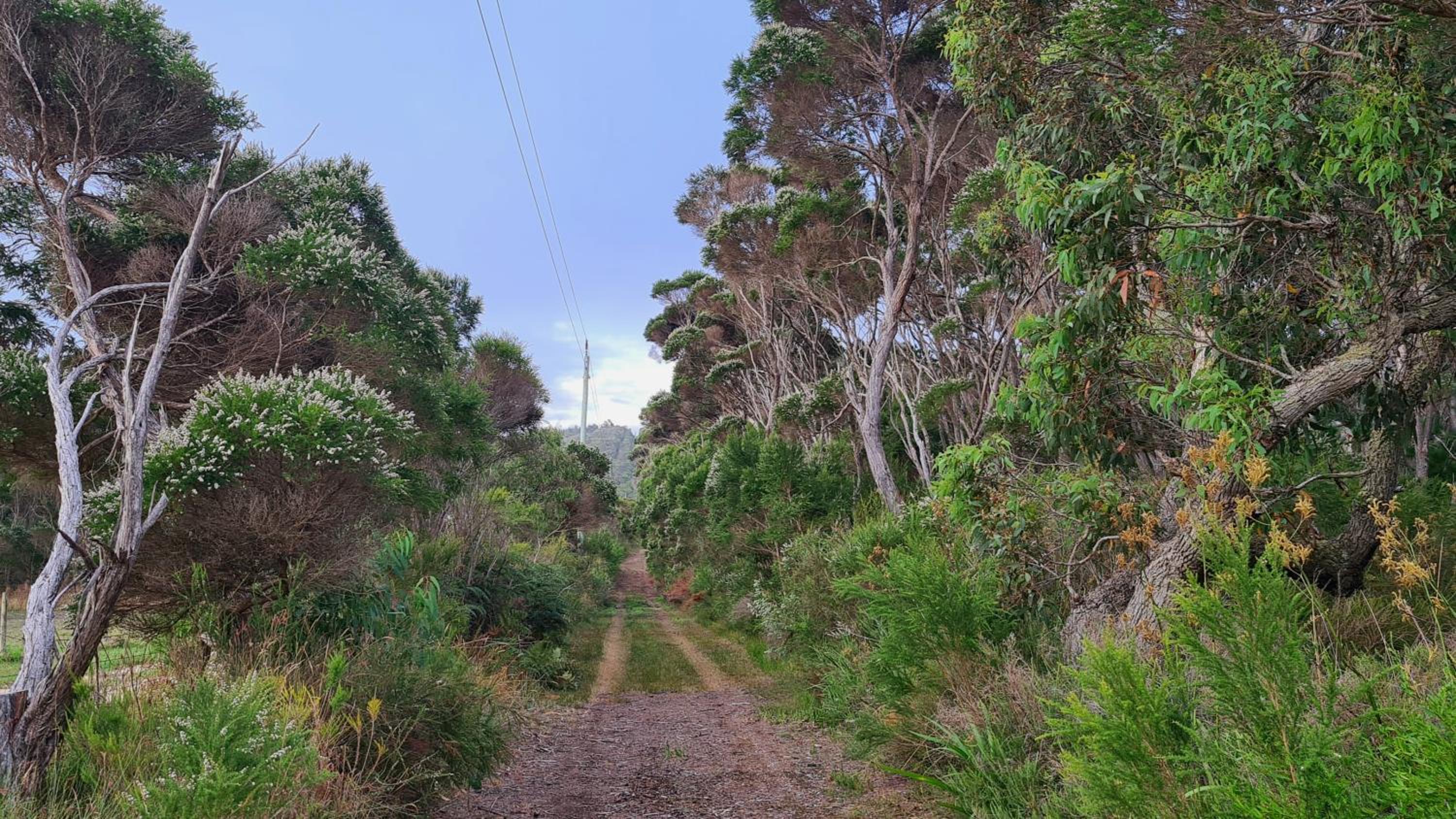Cape Howe Cottages