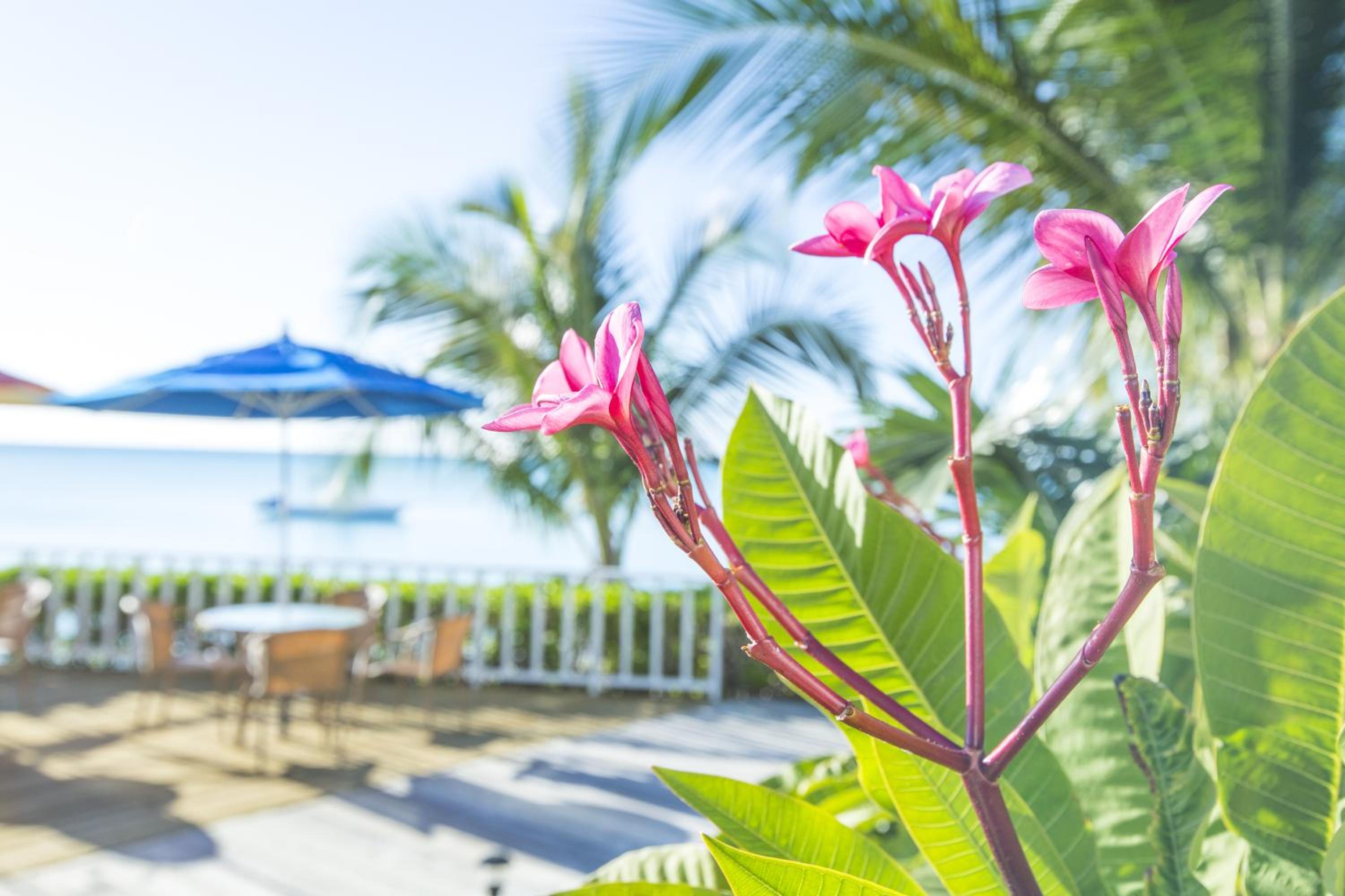 Cape Santa Maria Beach Resort & Villas