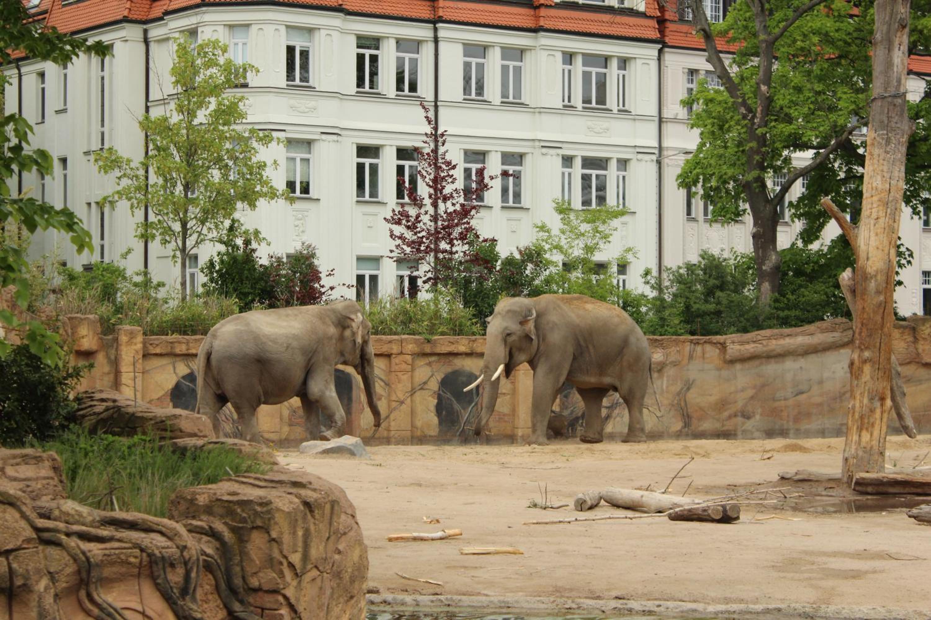 FeWo 1813 - Völkerschlacht zu Leipzig