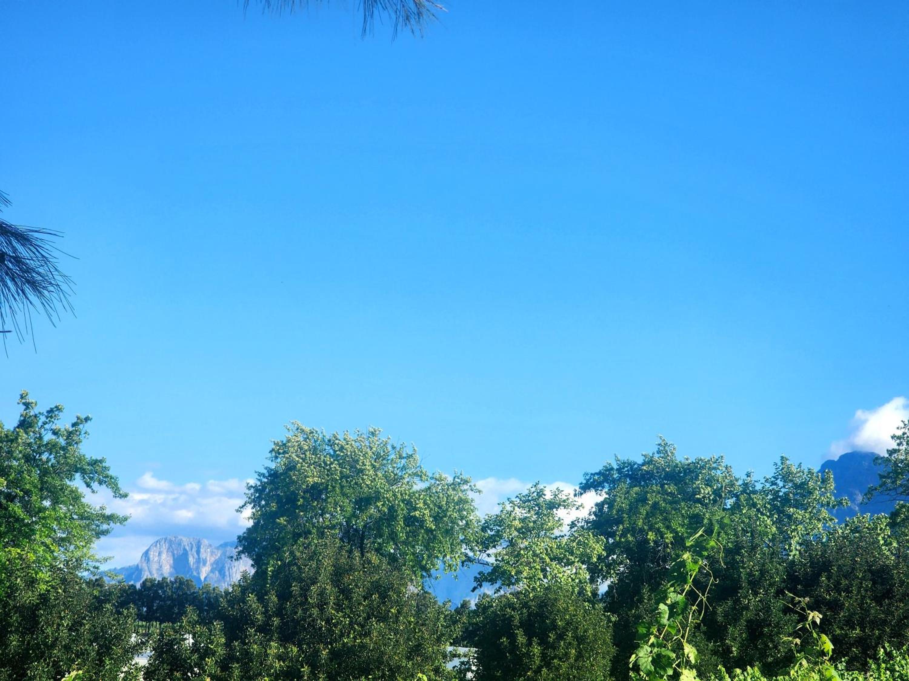 Mon Rêve Estate