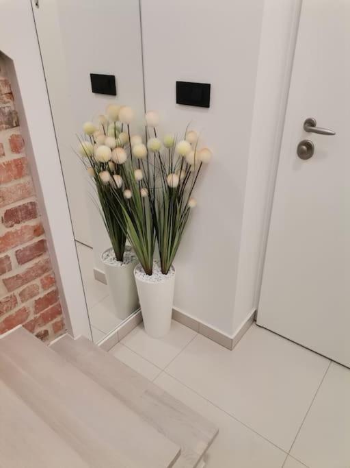 Studio apartman Lenox