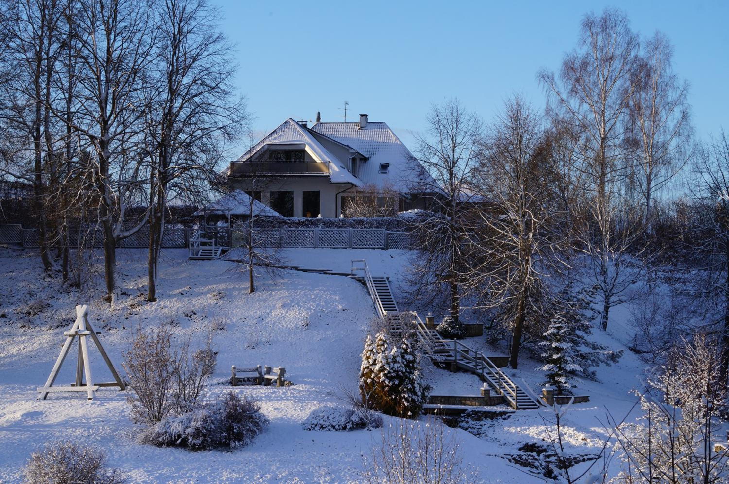 Photo 8