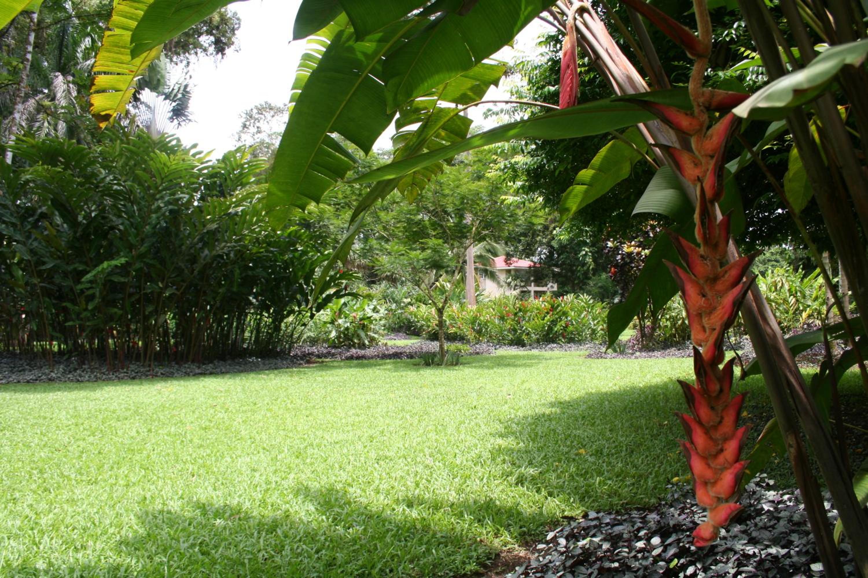 Heliconia Island