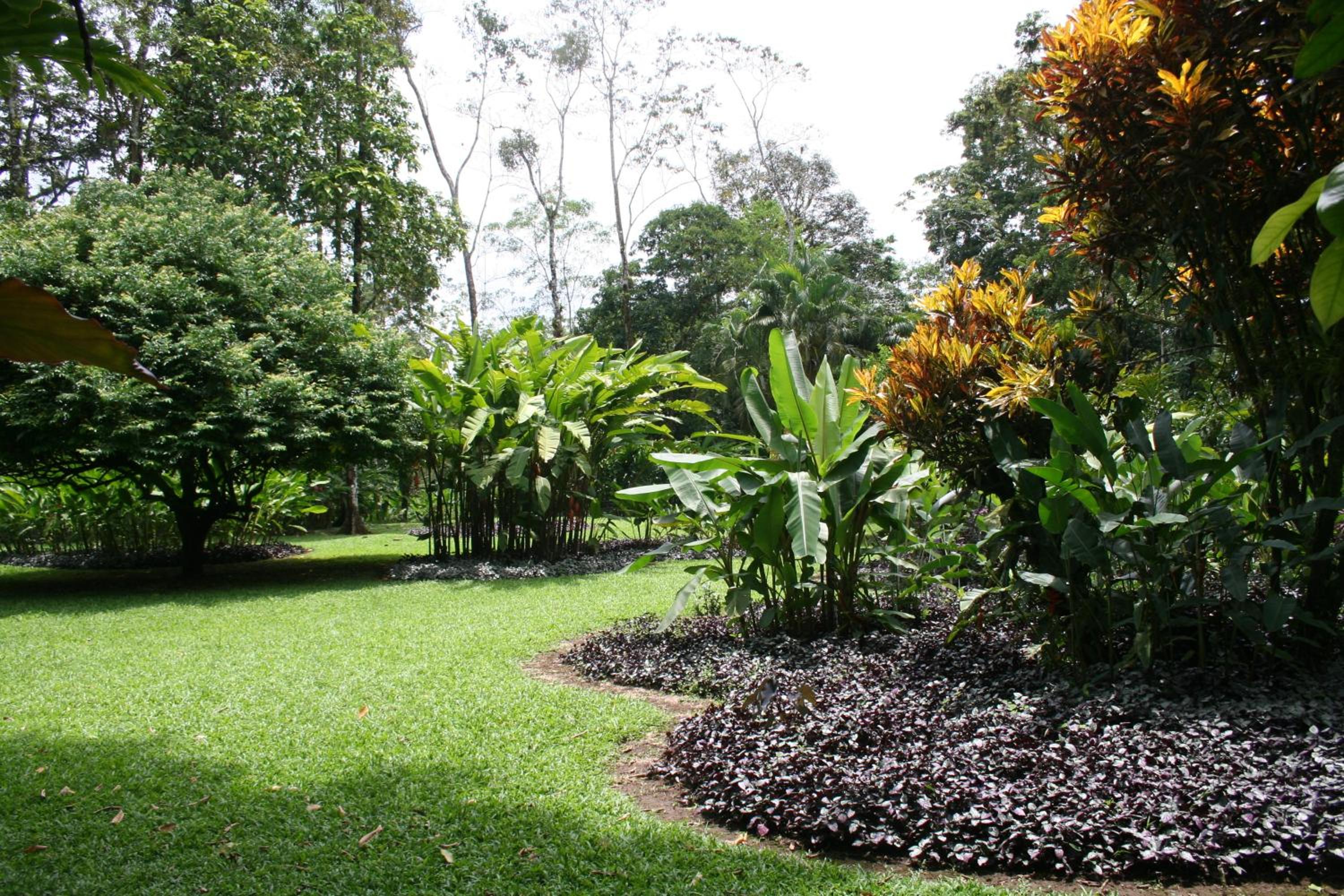 Heliconia Island