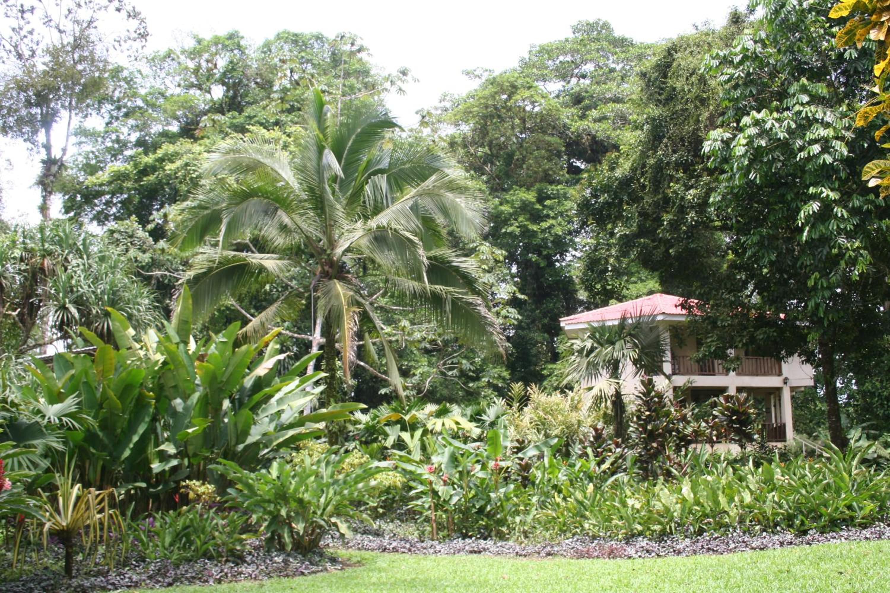 Heliconia Island