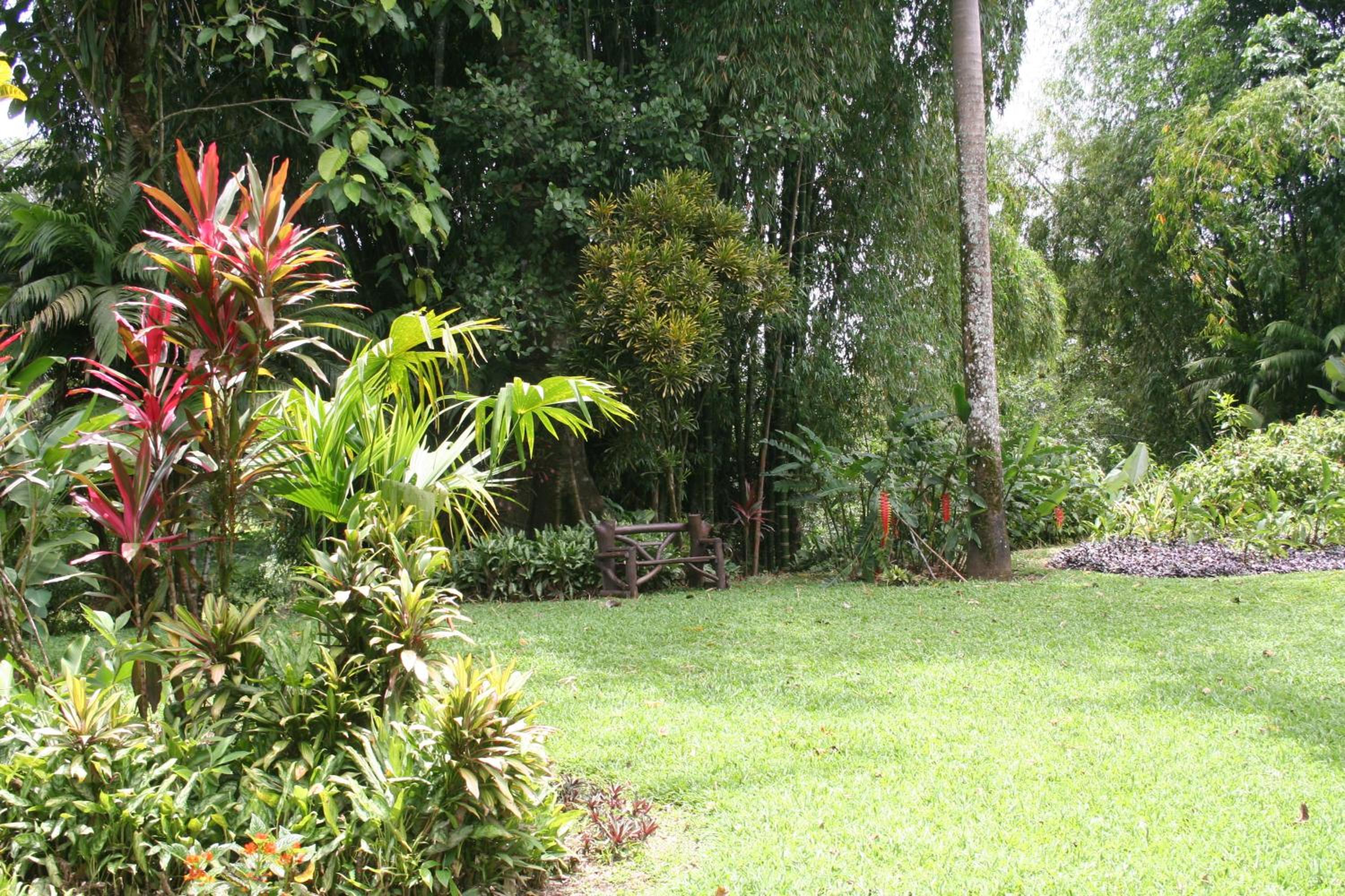 Heliconia Island
