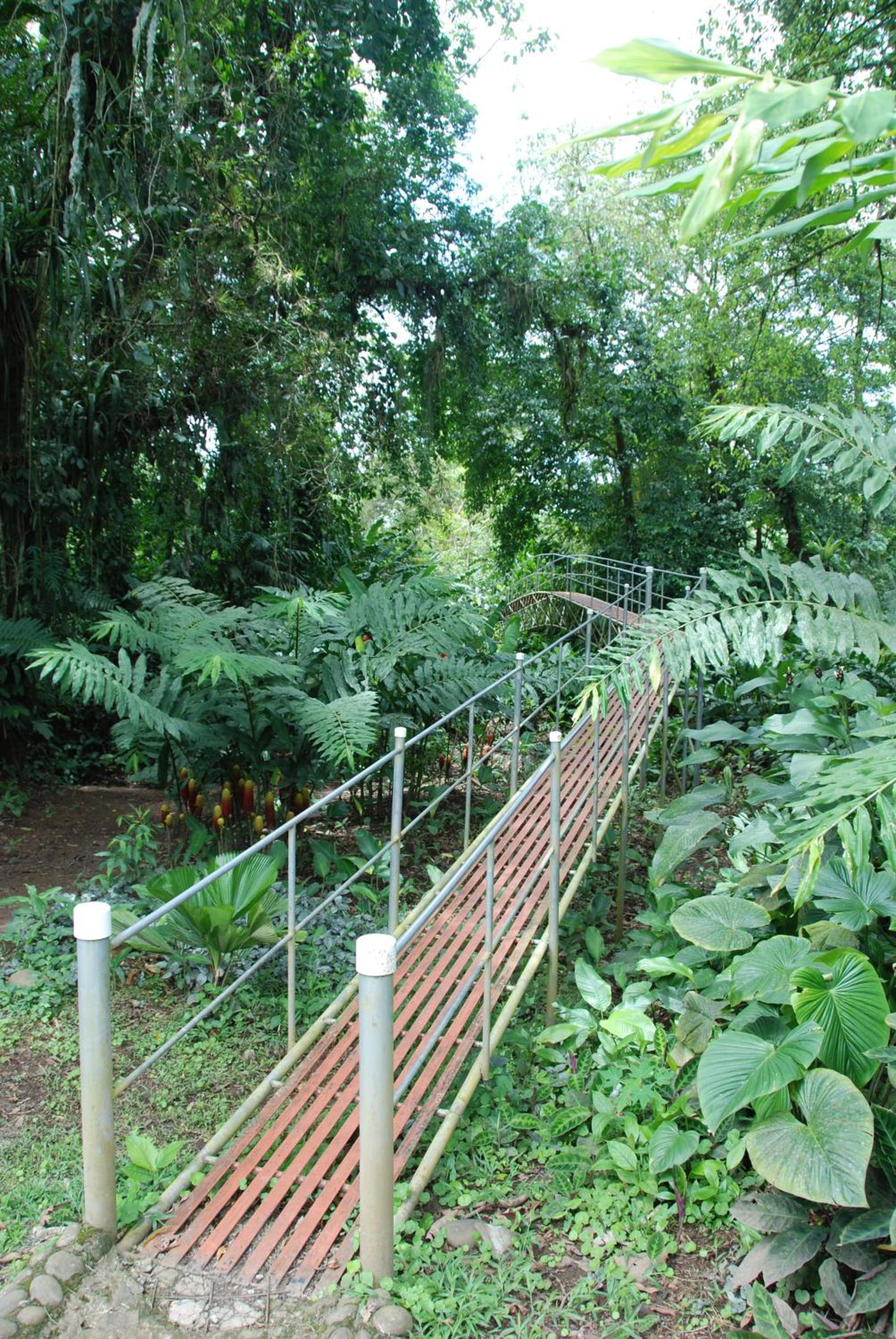 Heliconia Island