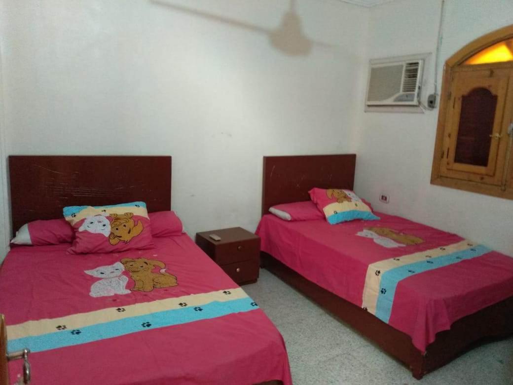 Zekry nubian guest house