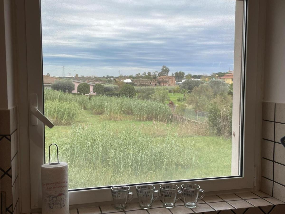 CASA ORCHIDEA view 4