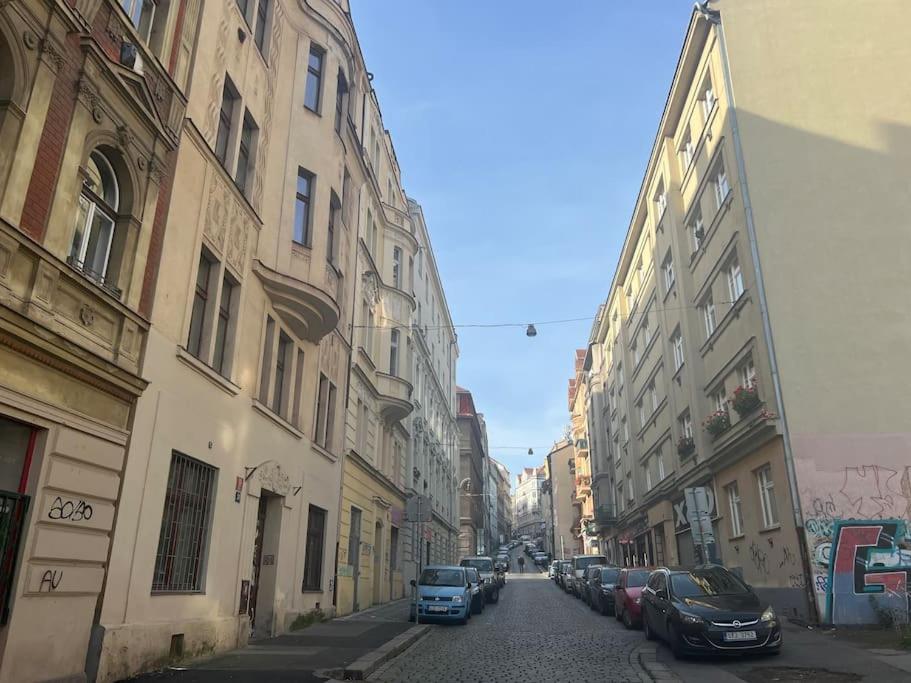 Modern apartment Krymská & Francouzská street