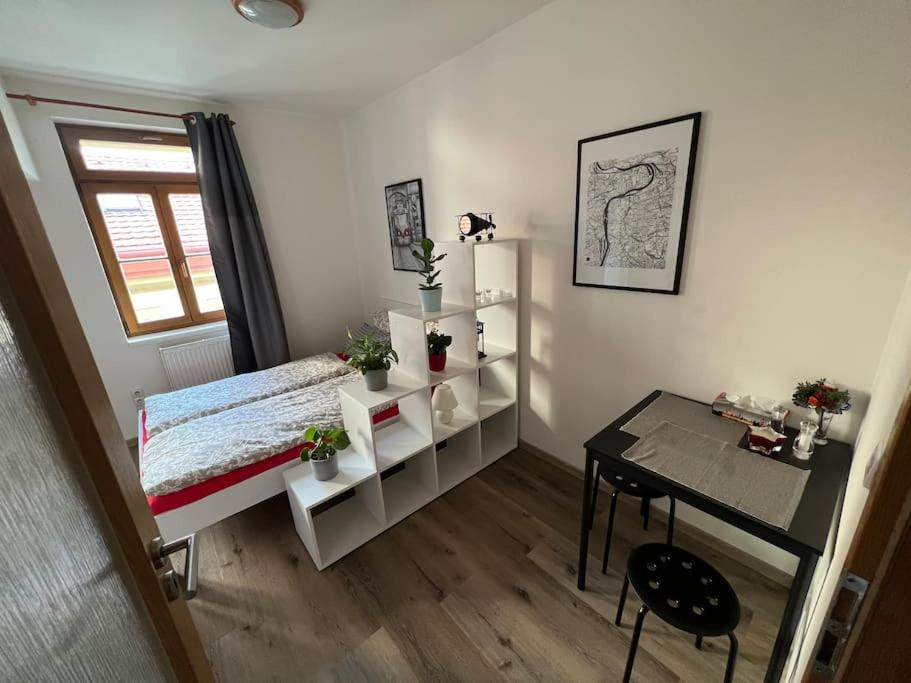 Modern apartment Krymská & Francouzská street