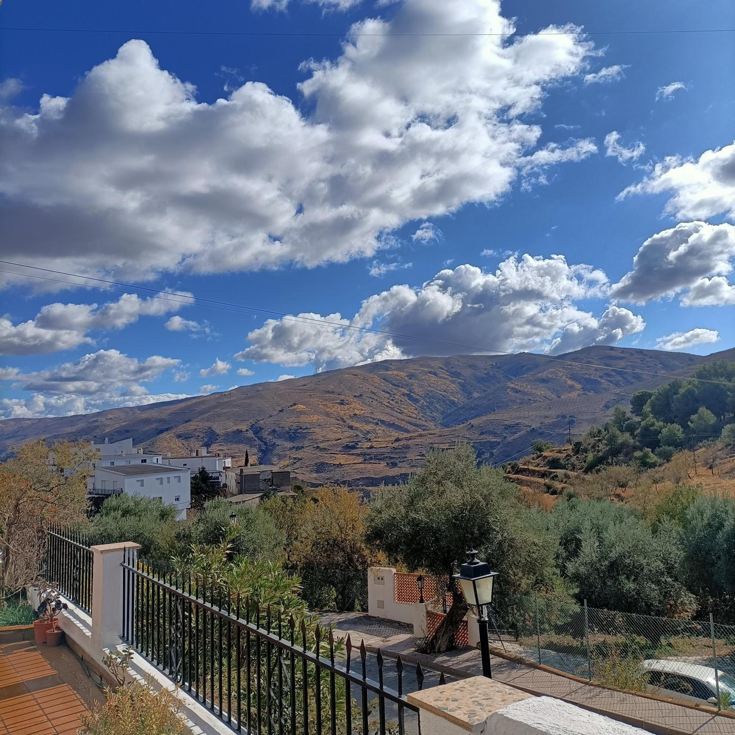 Casa los Lagartos