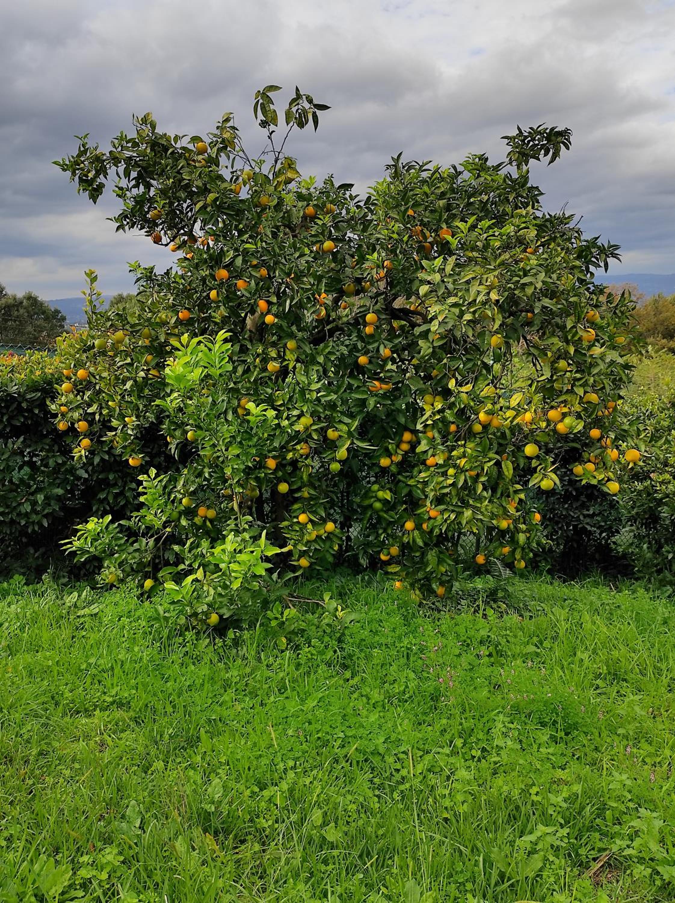 Photo 40
