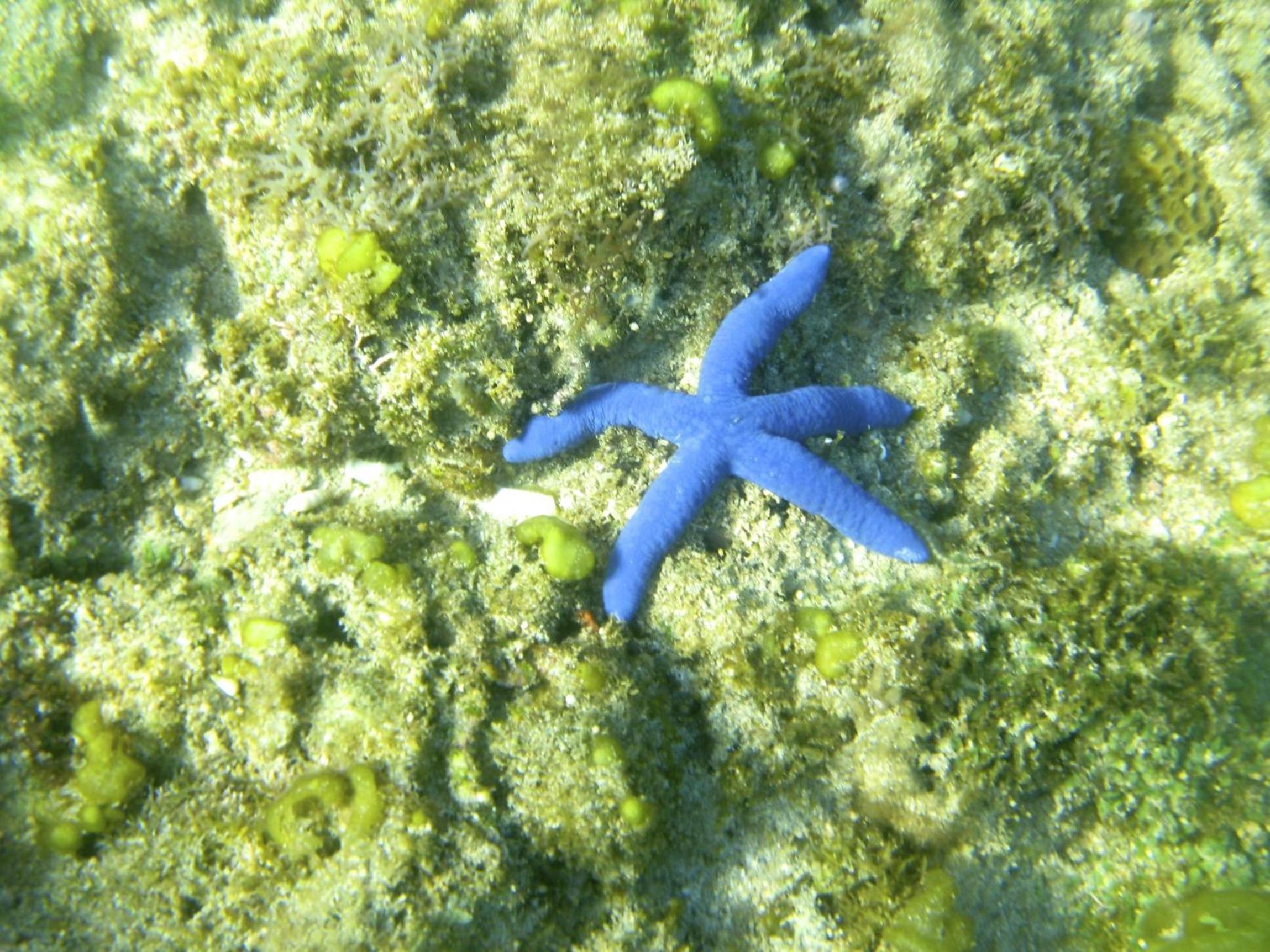 Photo 7