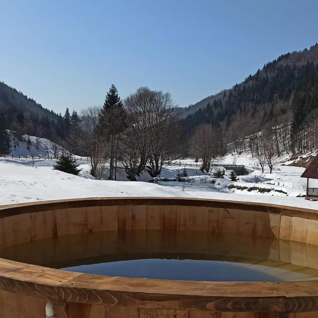 Pensiunea Poiana Țibleș view 5