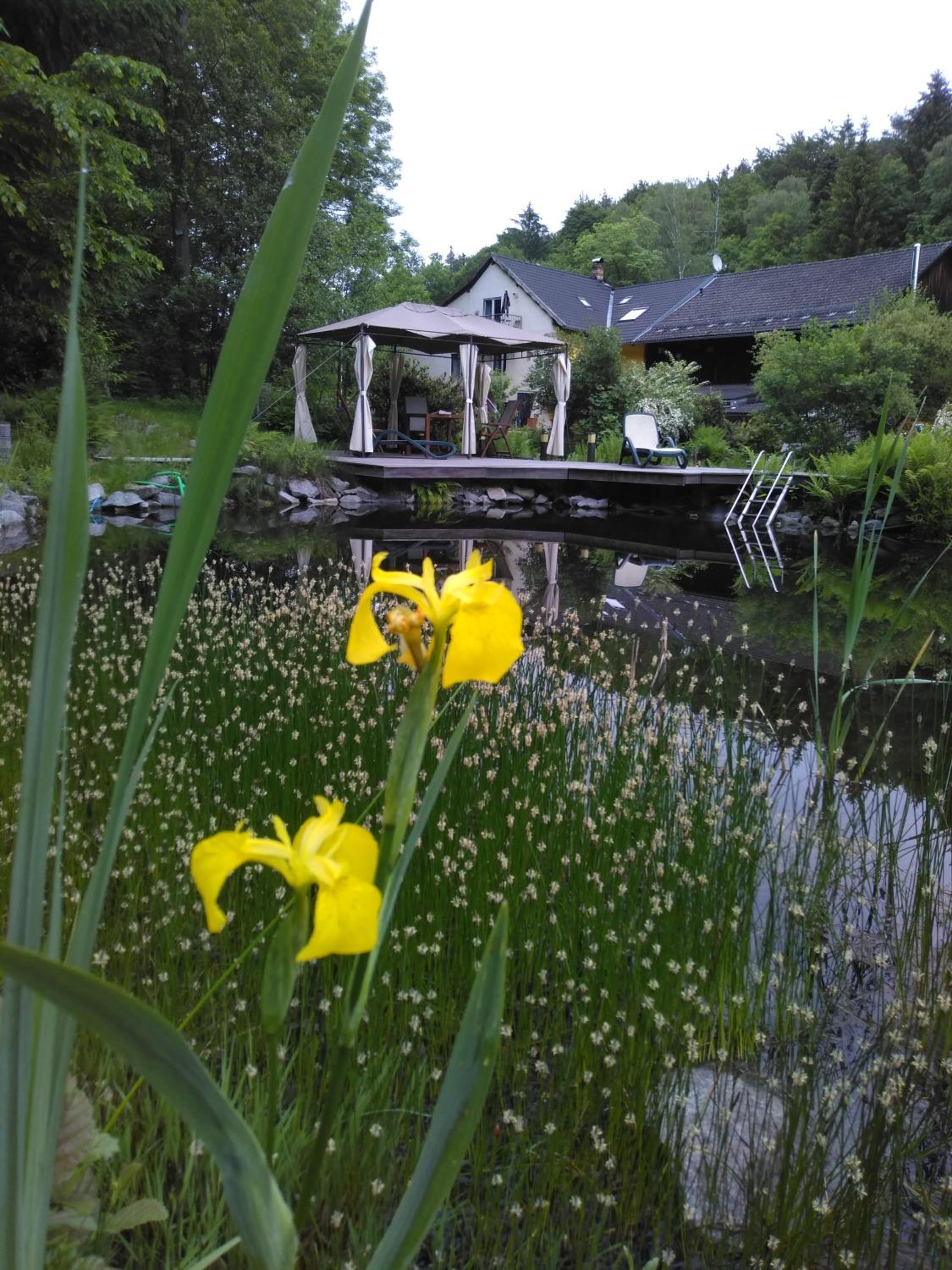 Urlaubspension Die Mühle
