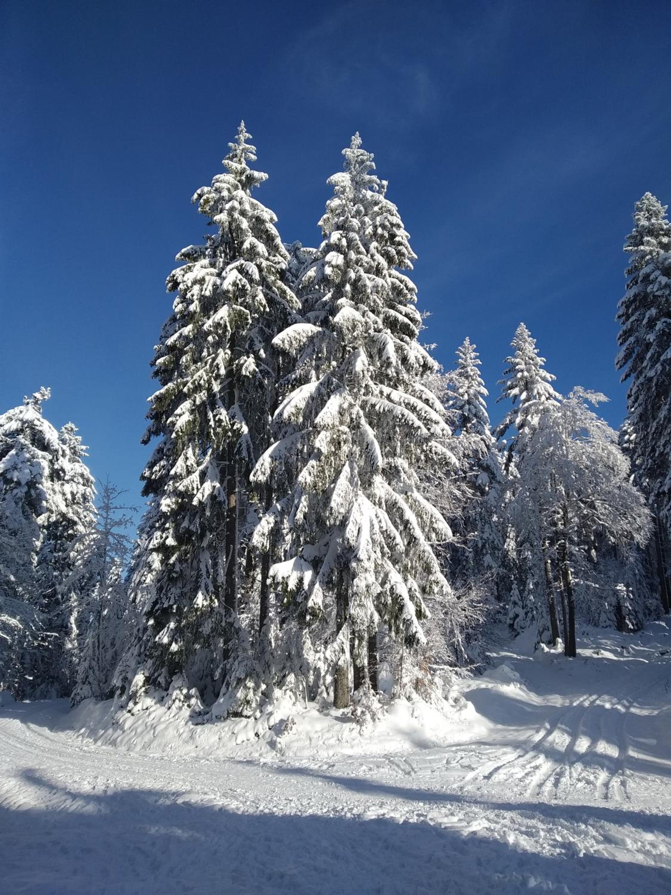 Ferienwohnung Sonnenblick