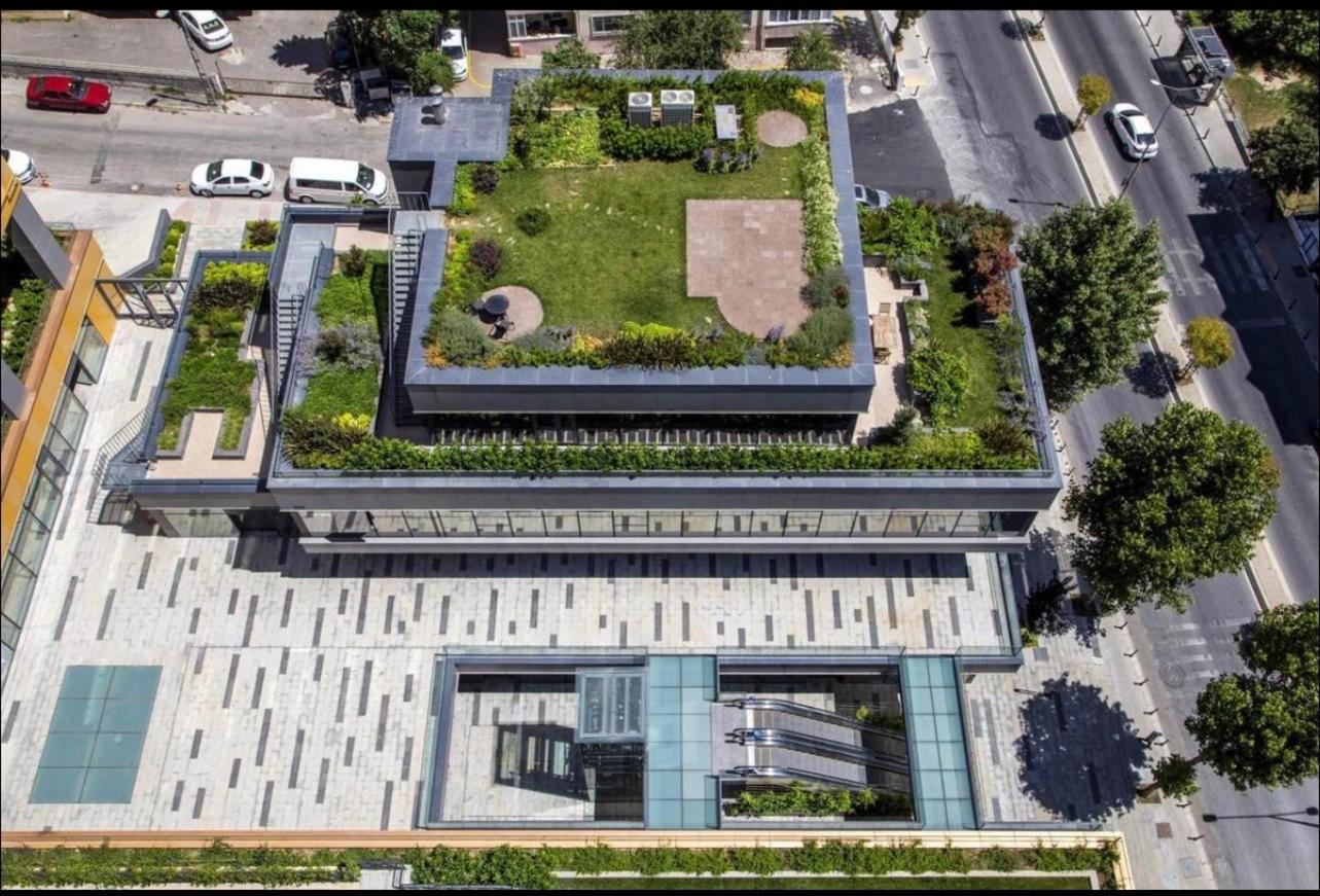 roof