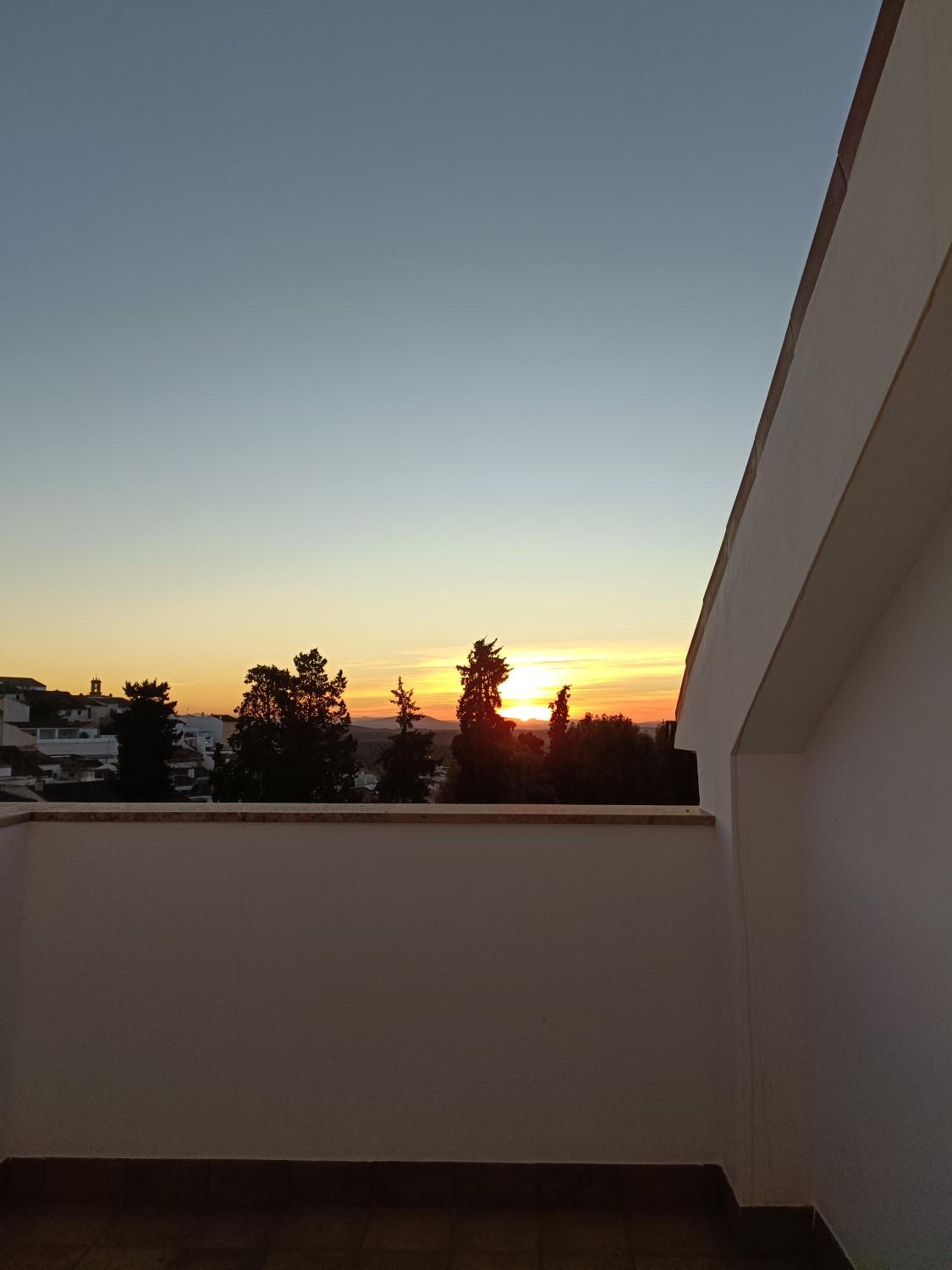 Placeta Boutique