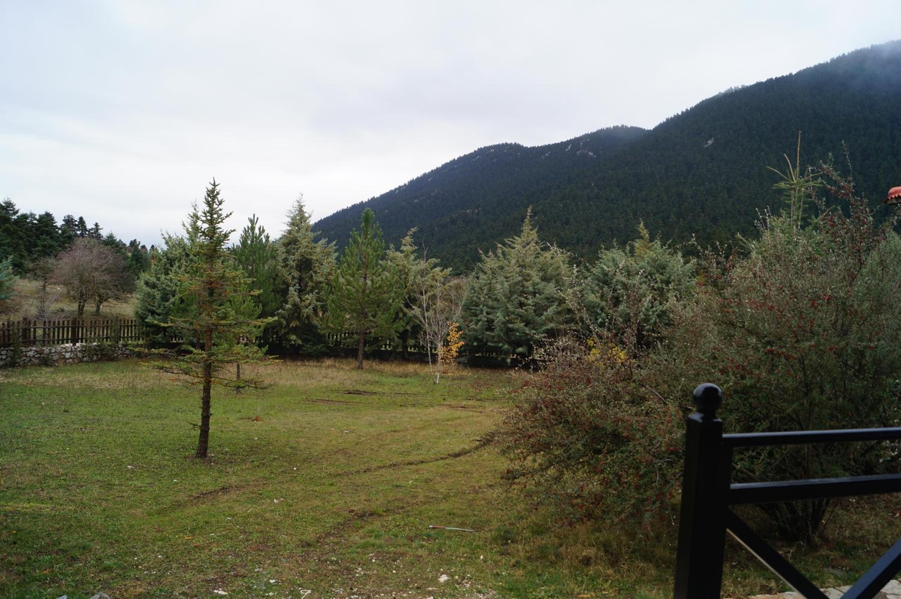 Parnassos Chalets