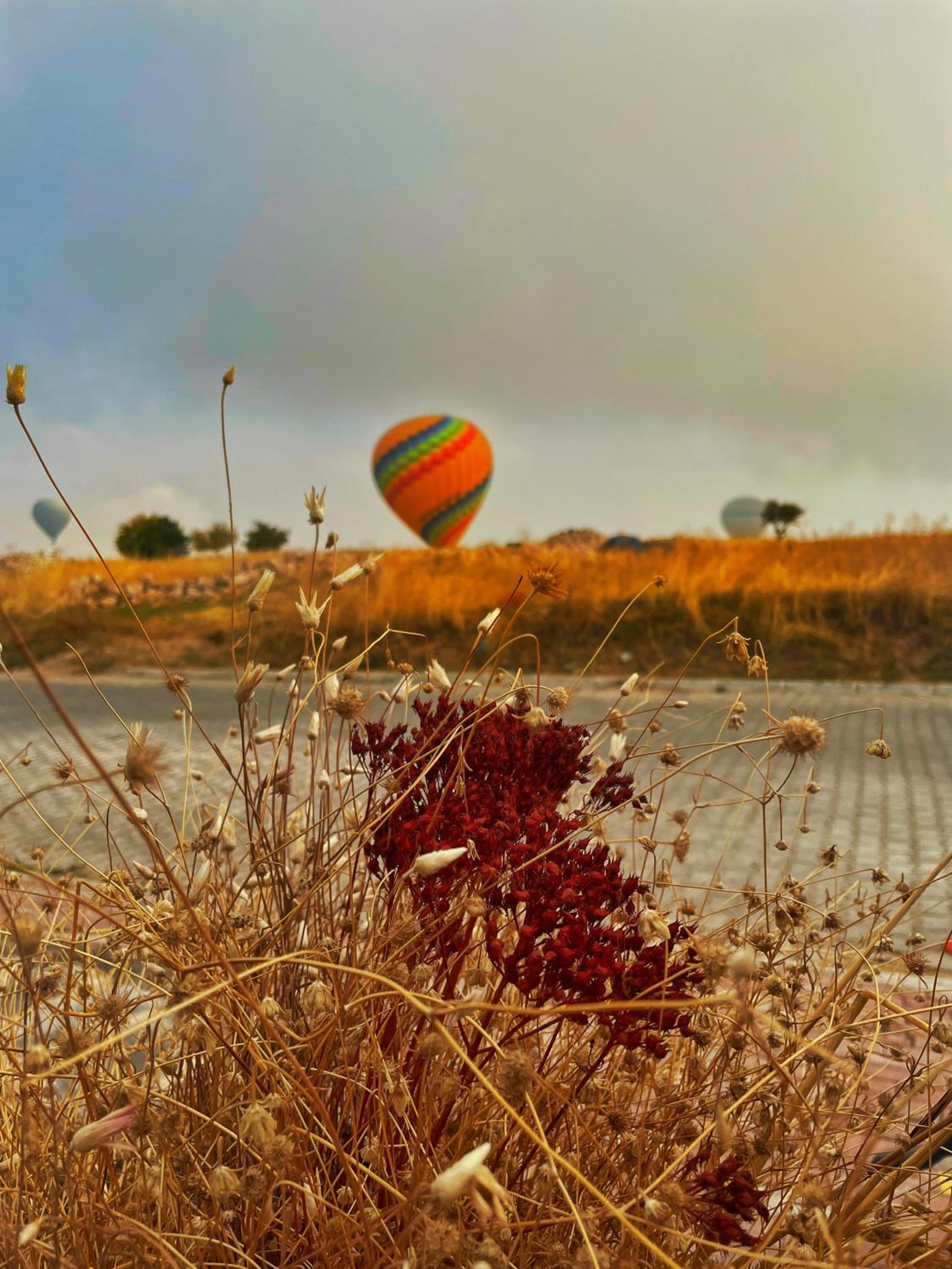 Soleado Cappadocia Hotel