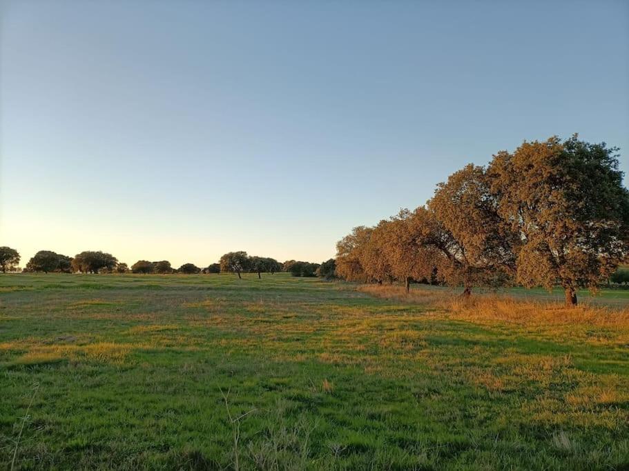 Casa Rural Dompani, Ahigal