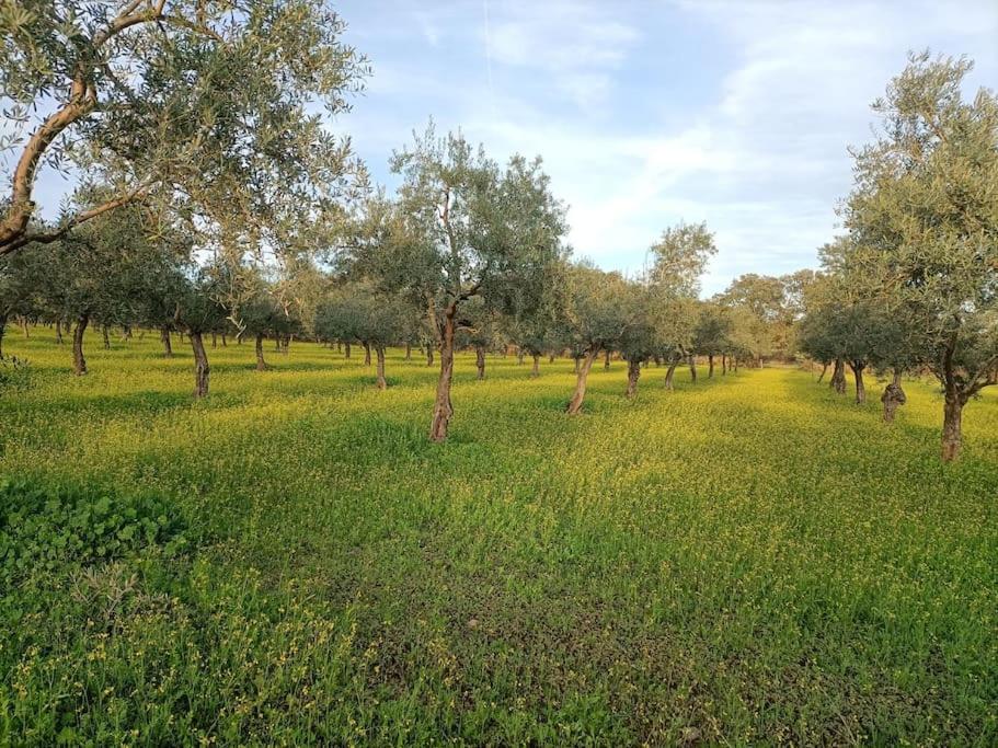 Casa Rural Dompani, Ahigal