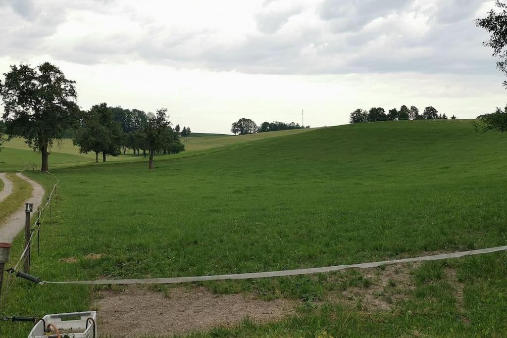 Schöne Wohnung am Bauernhof