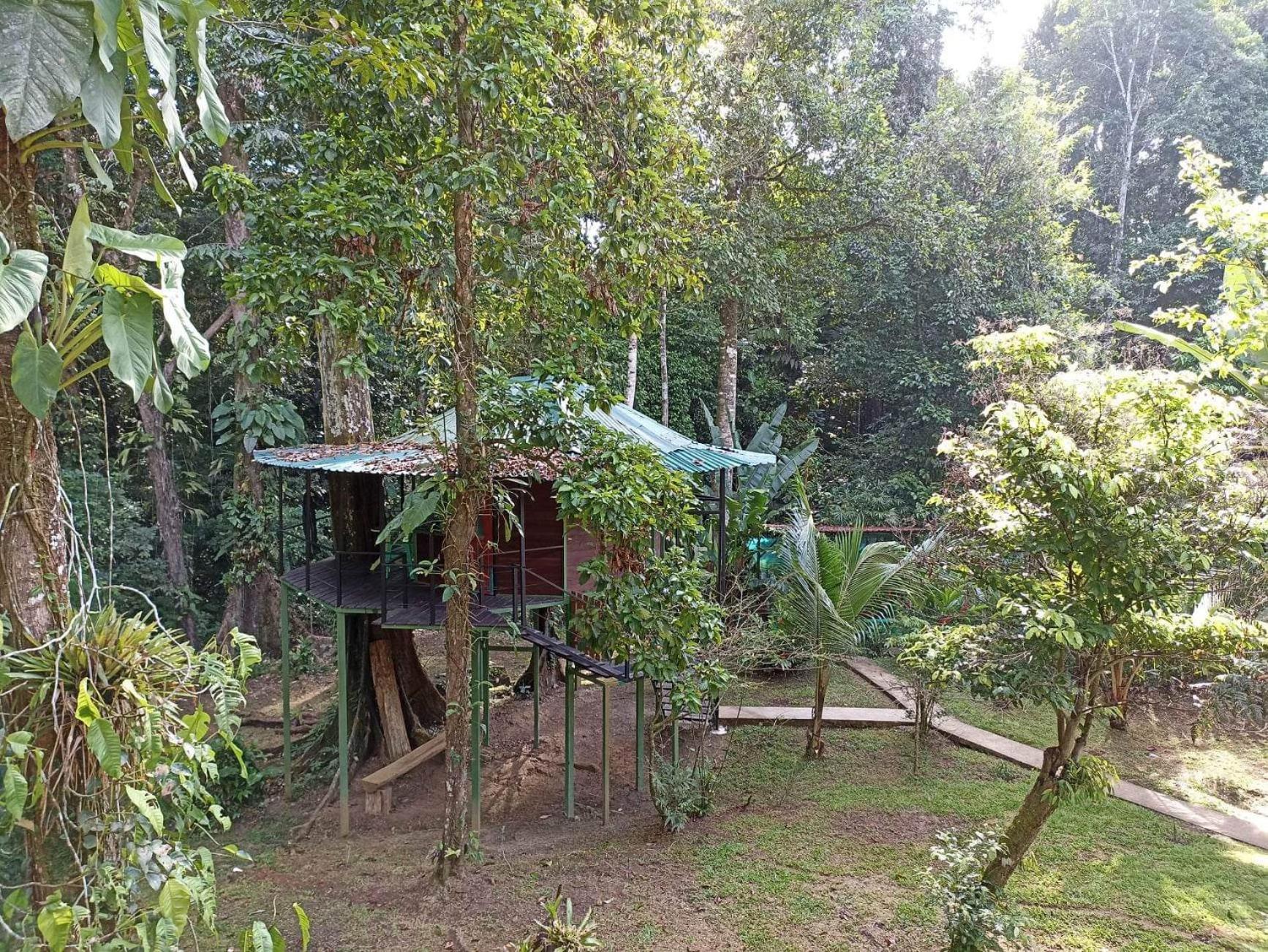 Finca Valeria Treehouses Glamping