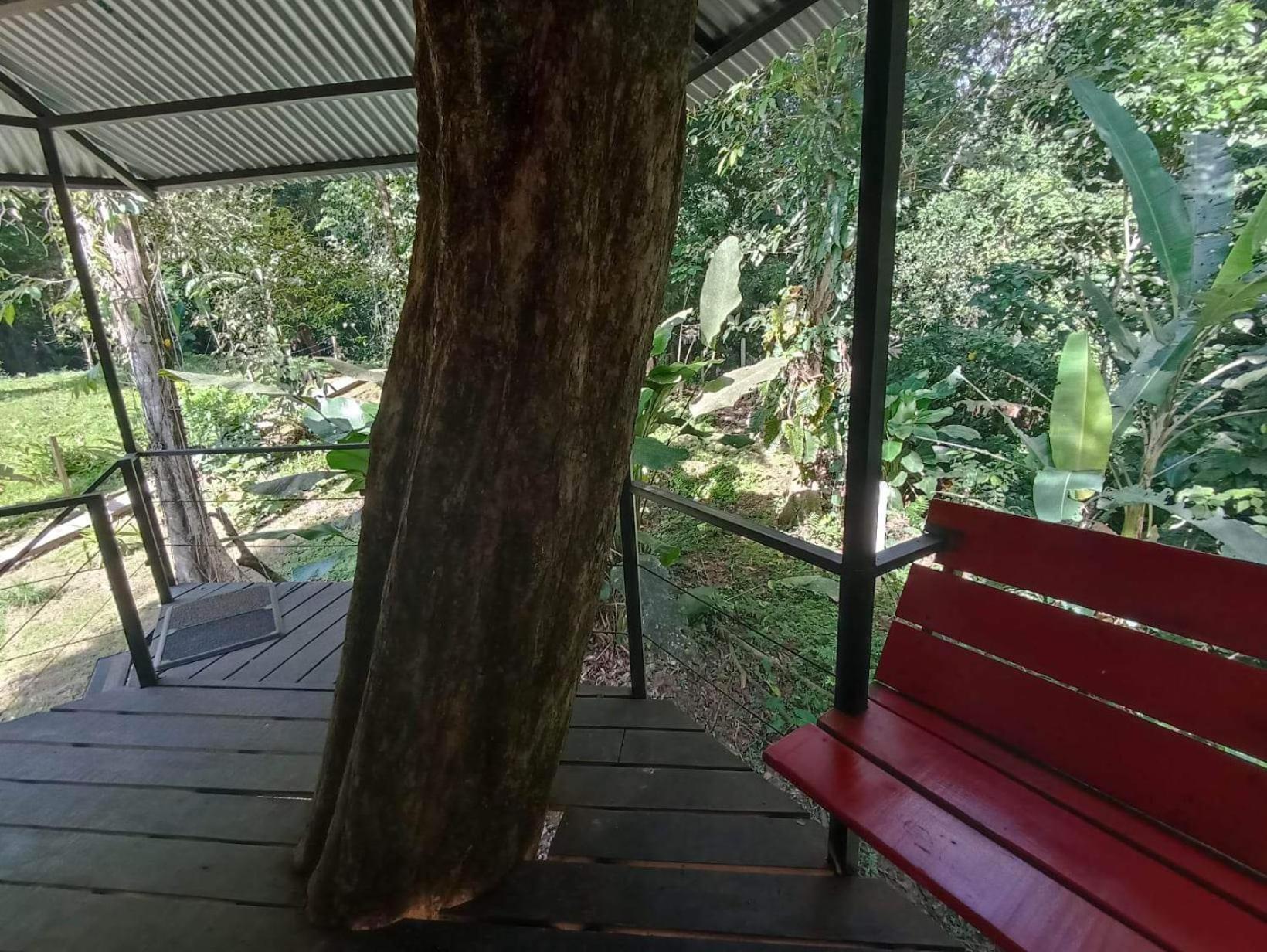 Finca Valeria Treehouses Glamping