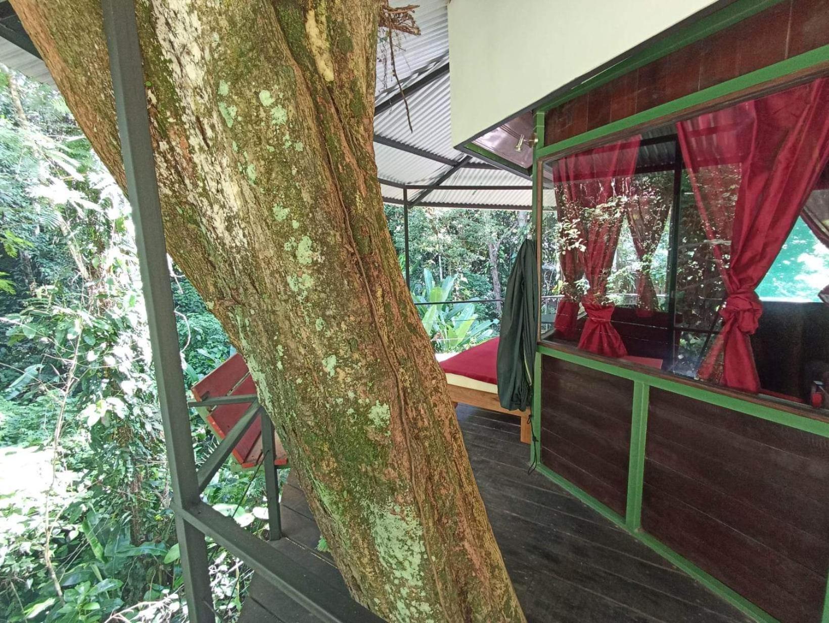 Finca Valeria Treehouses Glamping