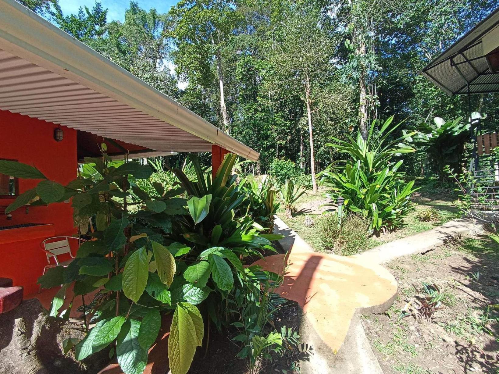 Finca Valeria Treehouses Glamping