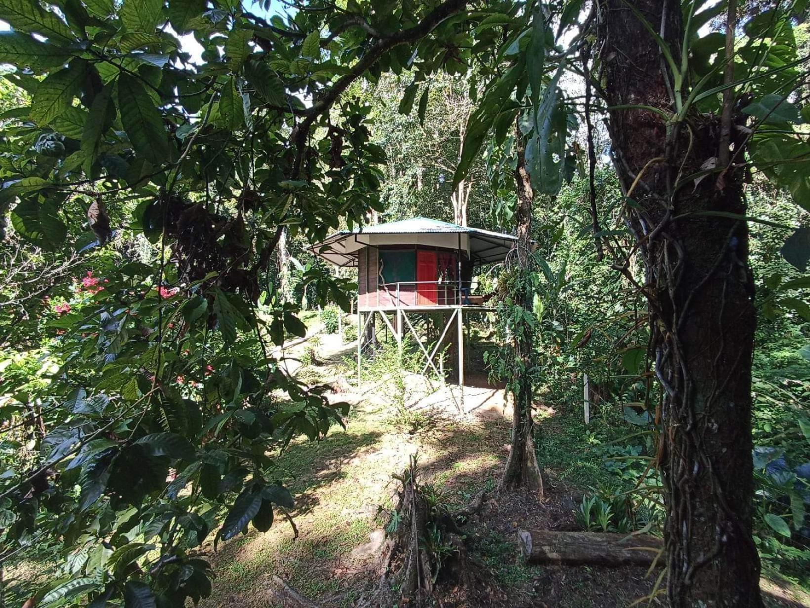 Finca Valeria Treehouses Glamping