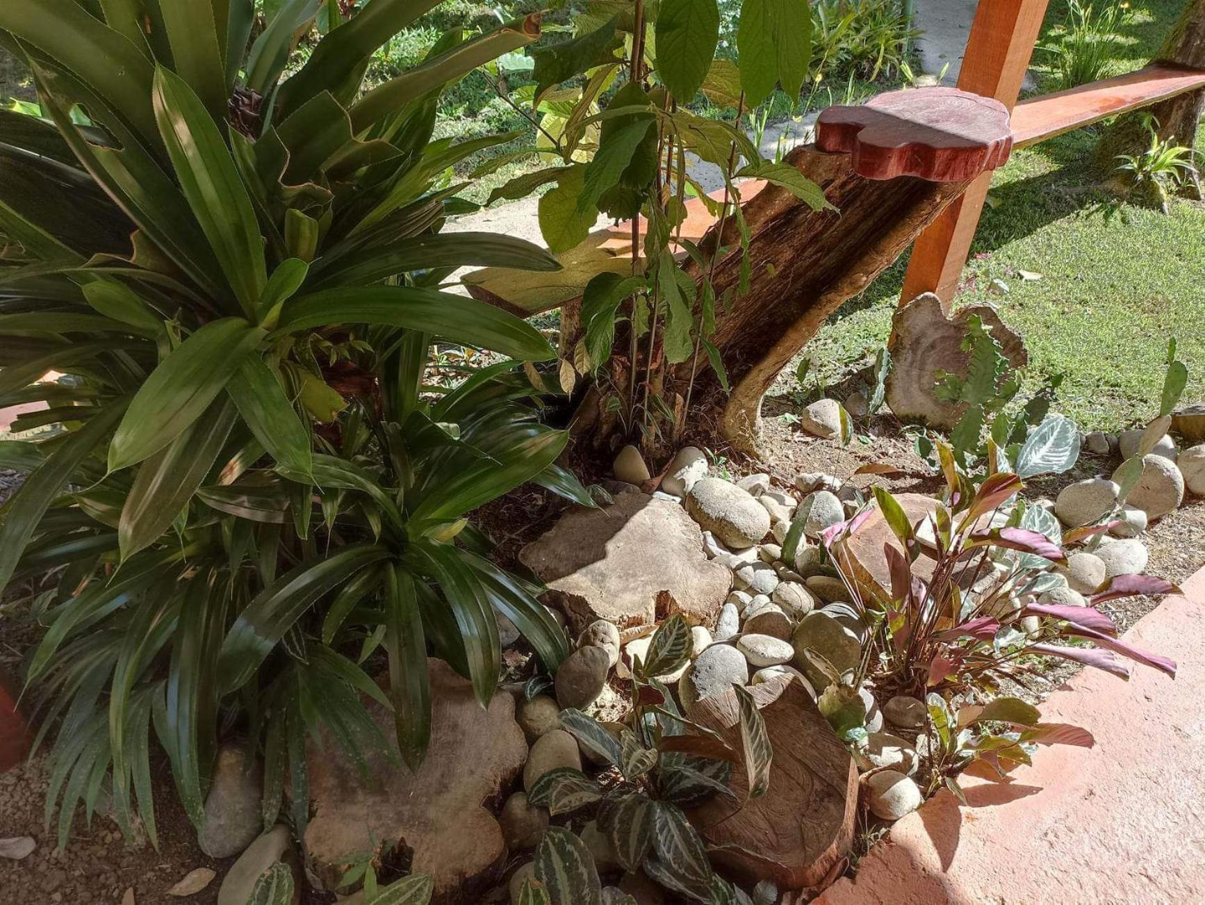 Finca Valeria Treehouses Glamping