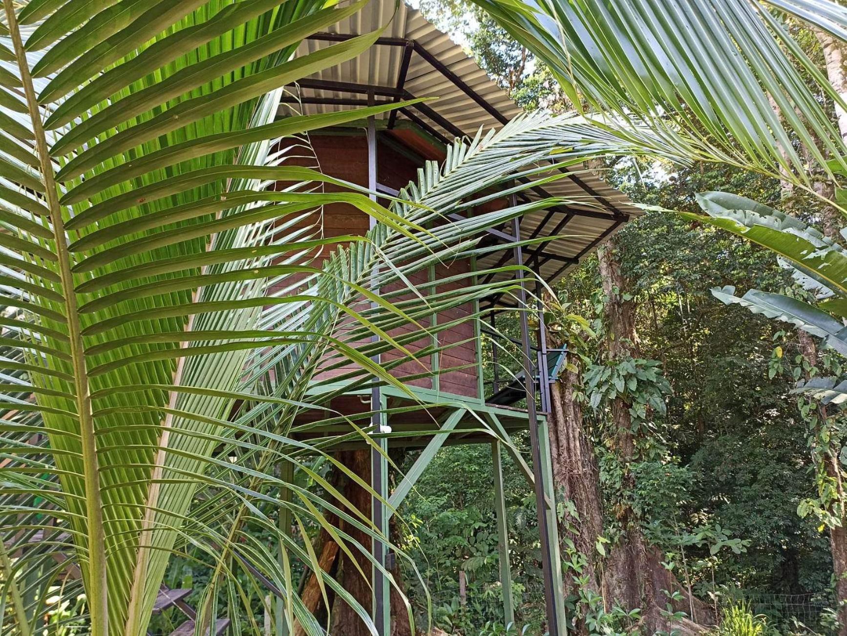 Finca Valeria Treehouses Glamping