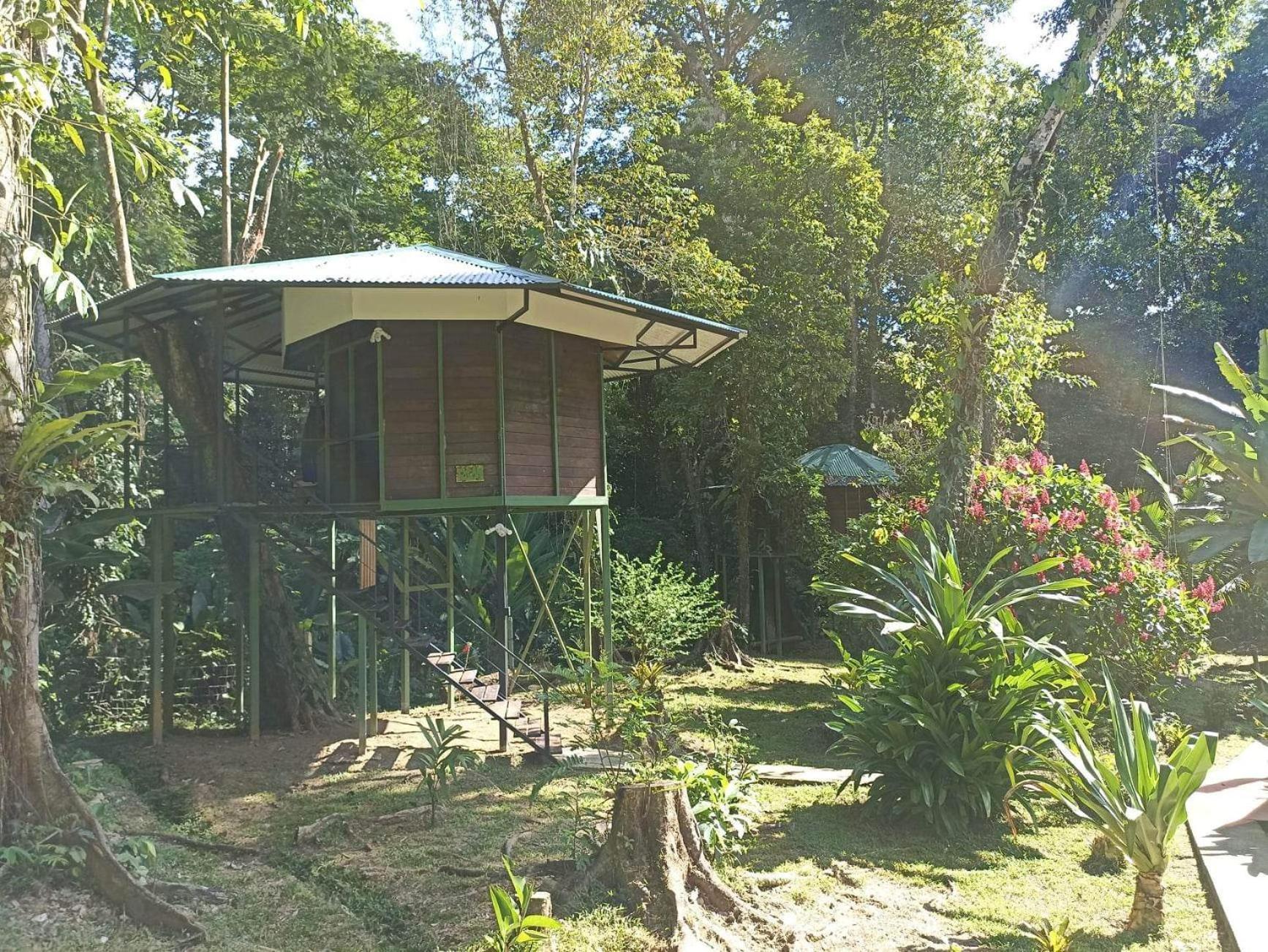 Finca Valeria Treehouses Glamping