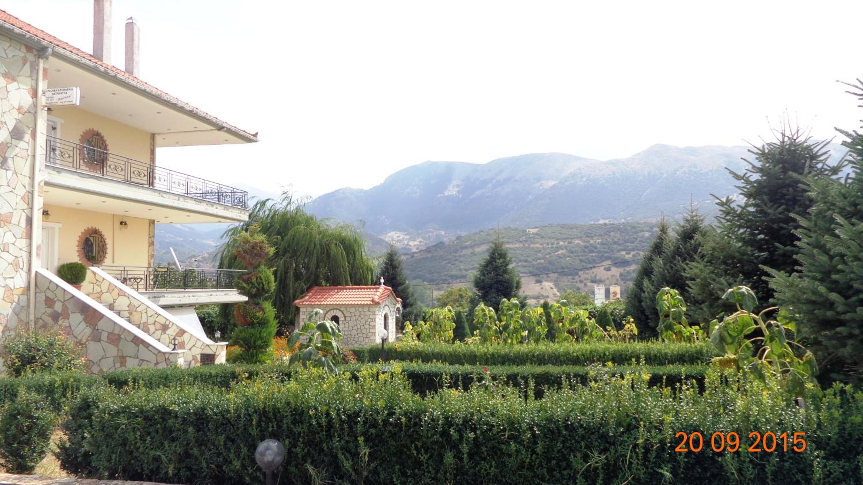 Photo 6