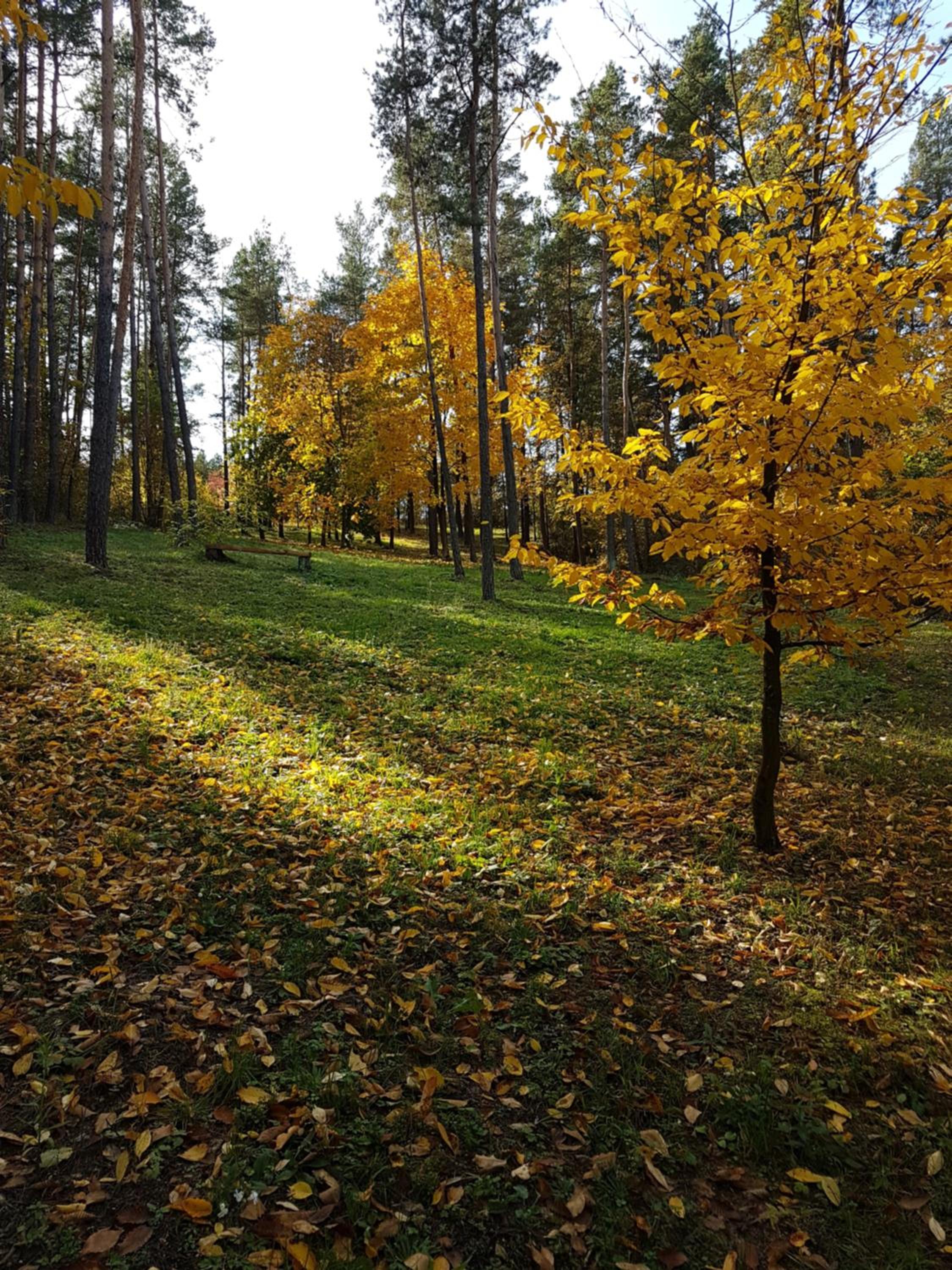 Photo 27