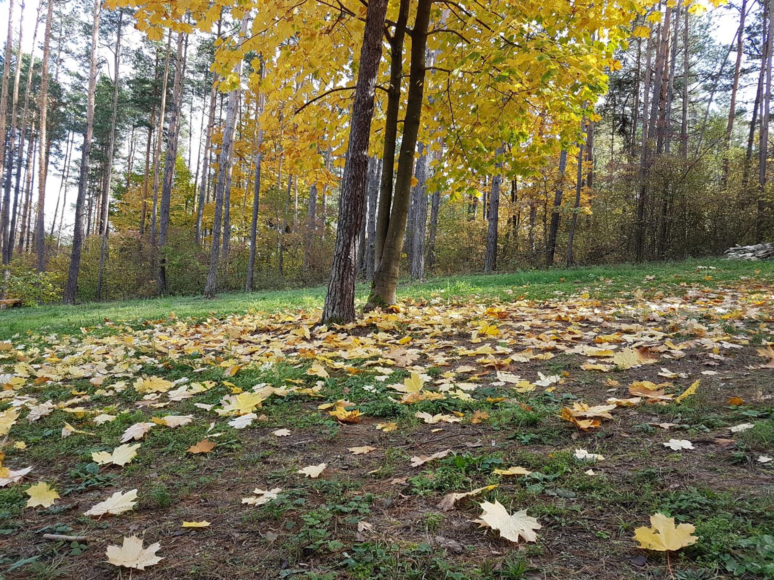 Photo 26