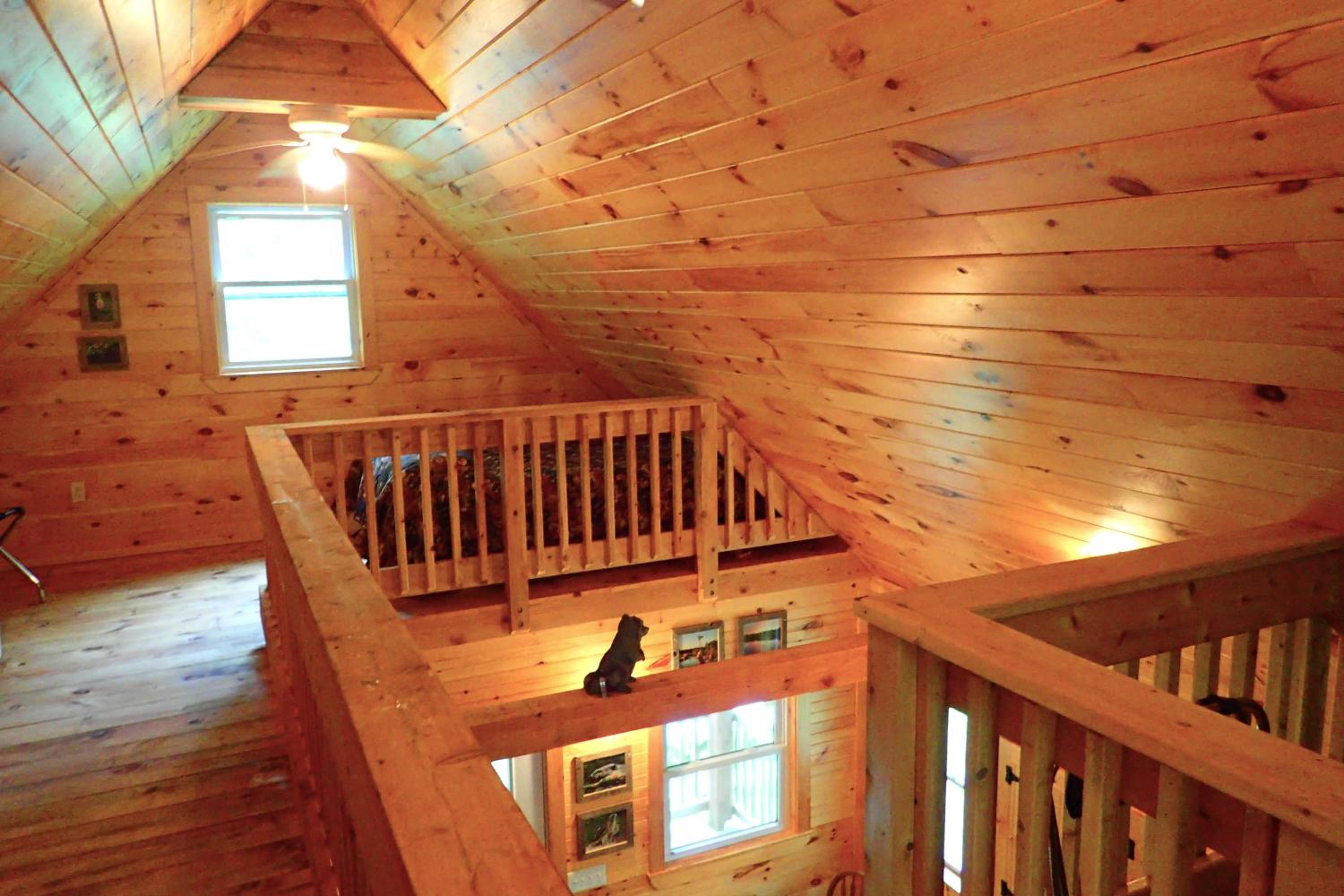 Wild Fox Cabins view 2