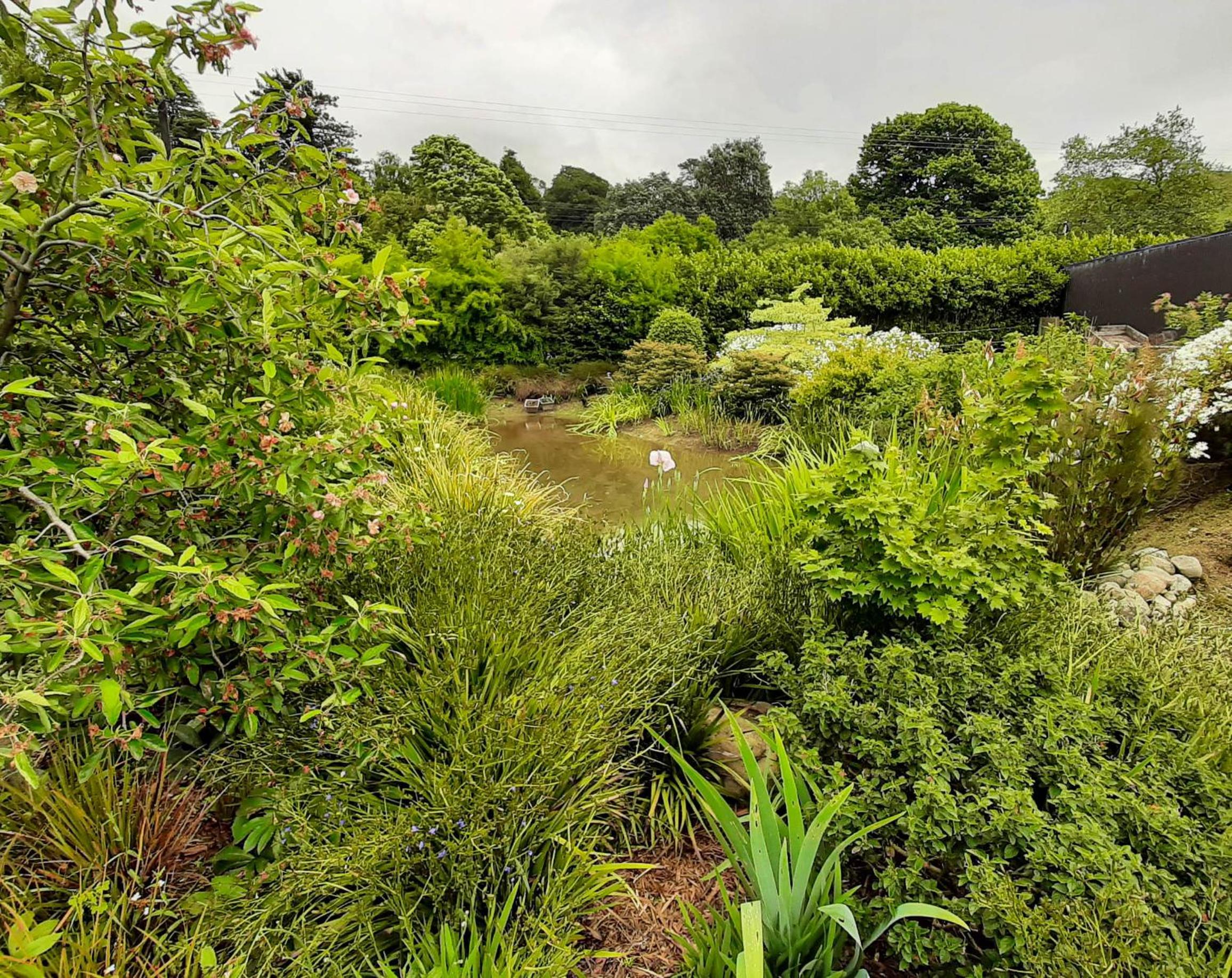 Waiora cottage view 3