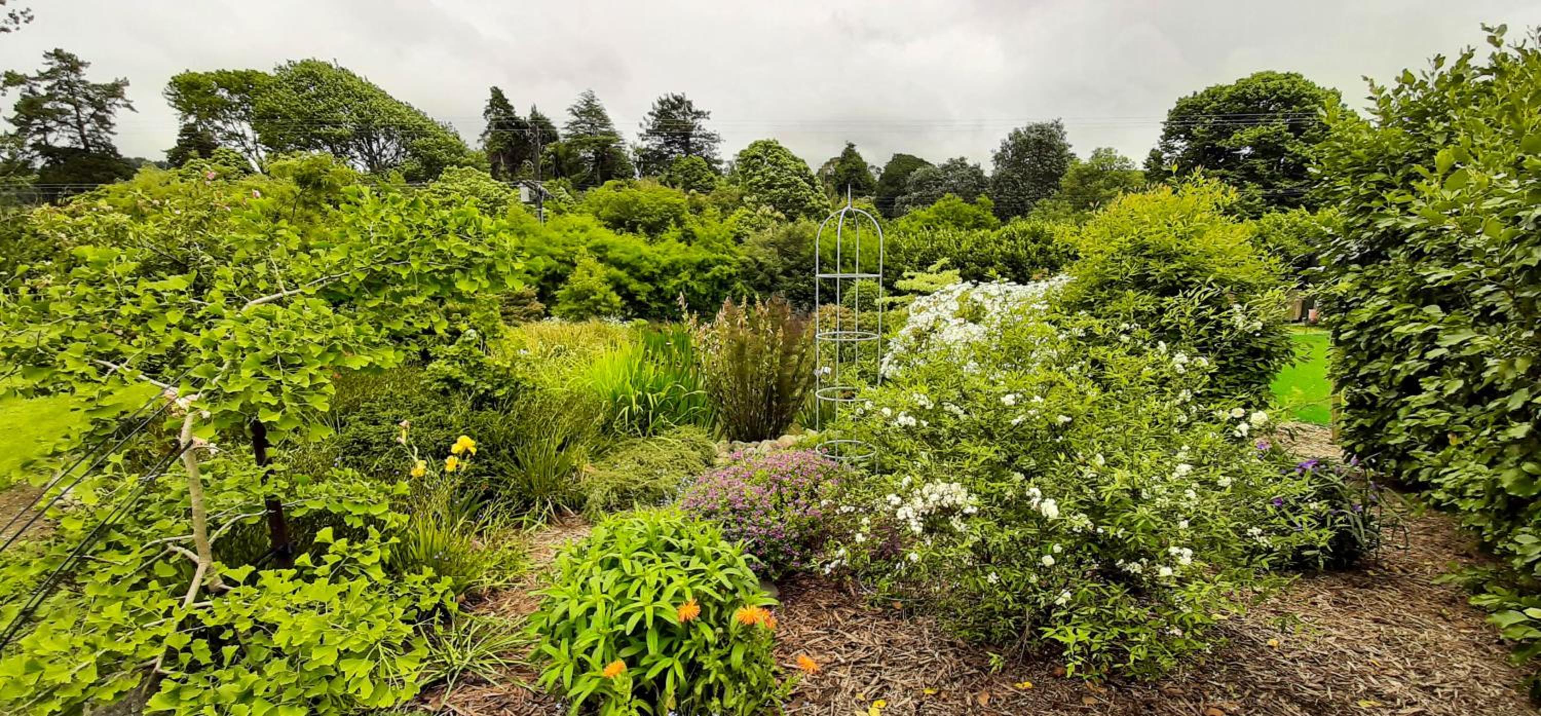Waiora cottage view 4