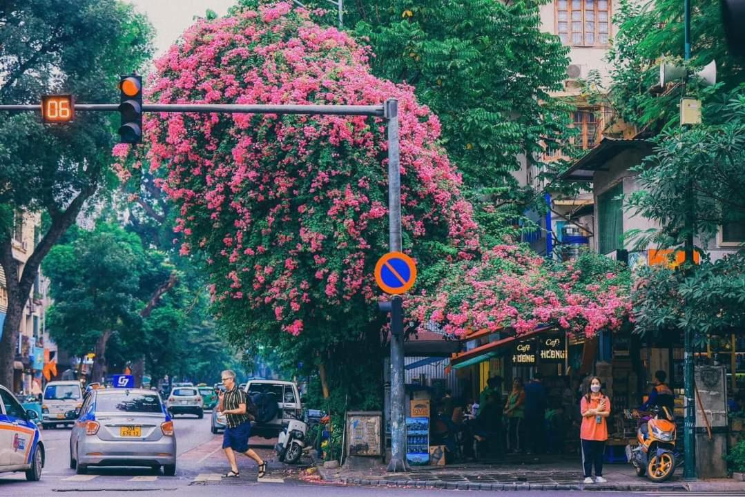 Tropical land little Hanoi homestay