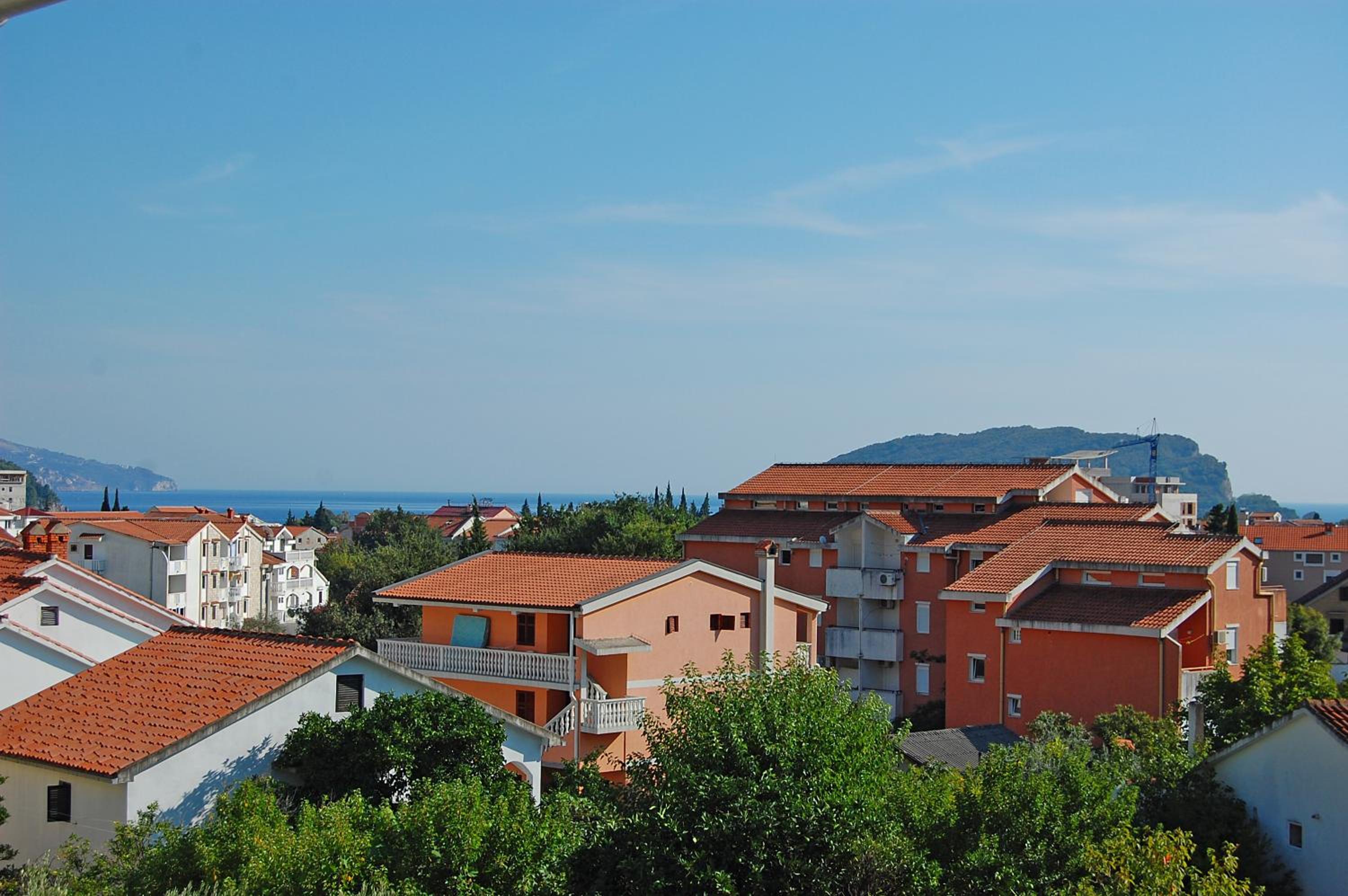 Vila Maslina Guesthouse photo 4