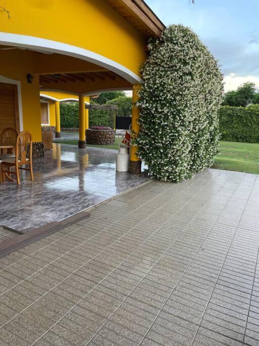 Yellow House