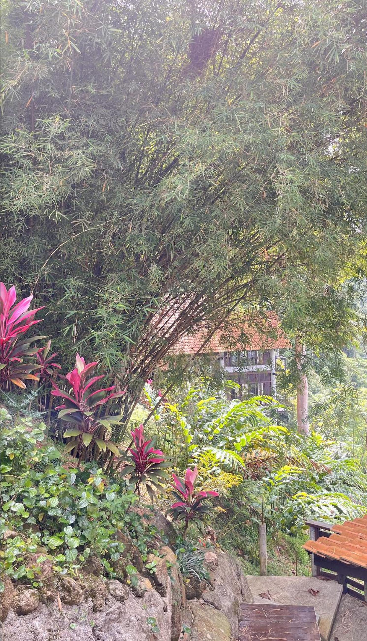 SANKARA GARDEN